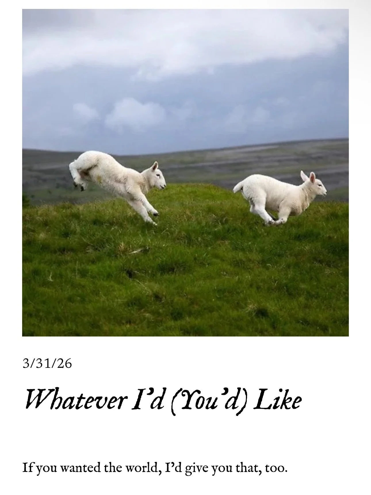 A few more poems were published on the site last week! Get your weekly fill of poetry🤞🏾thesilvercherrypublishing.com

Linked in the bio 🍒