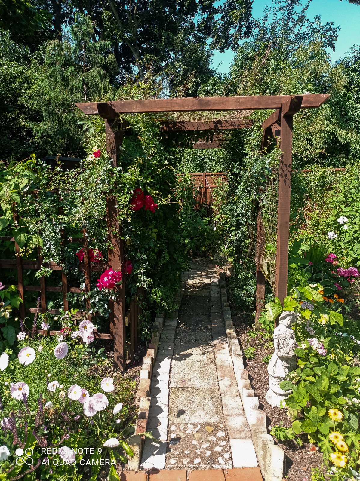 Roses trained over this pergola in a cottage garden style in Buckinghamshire
