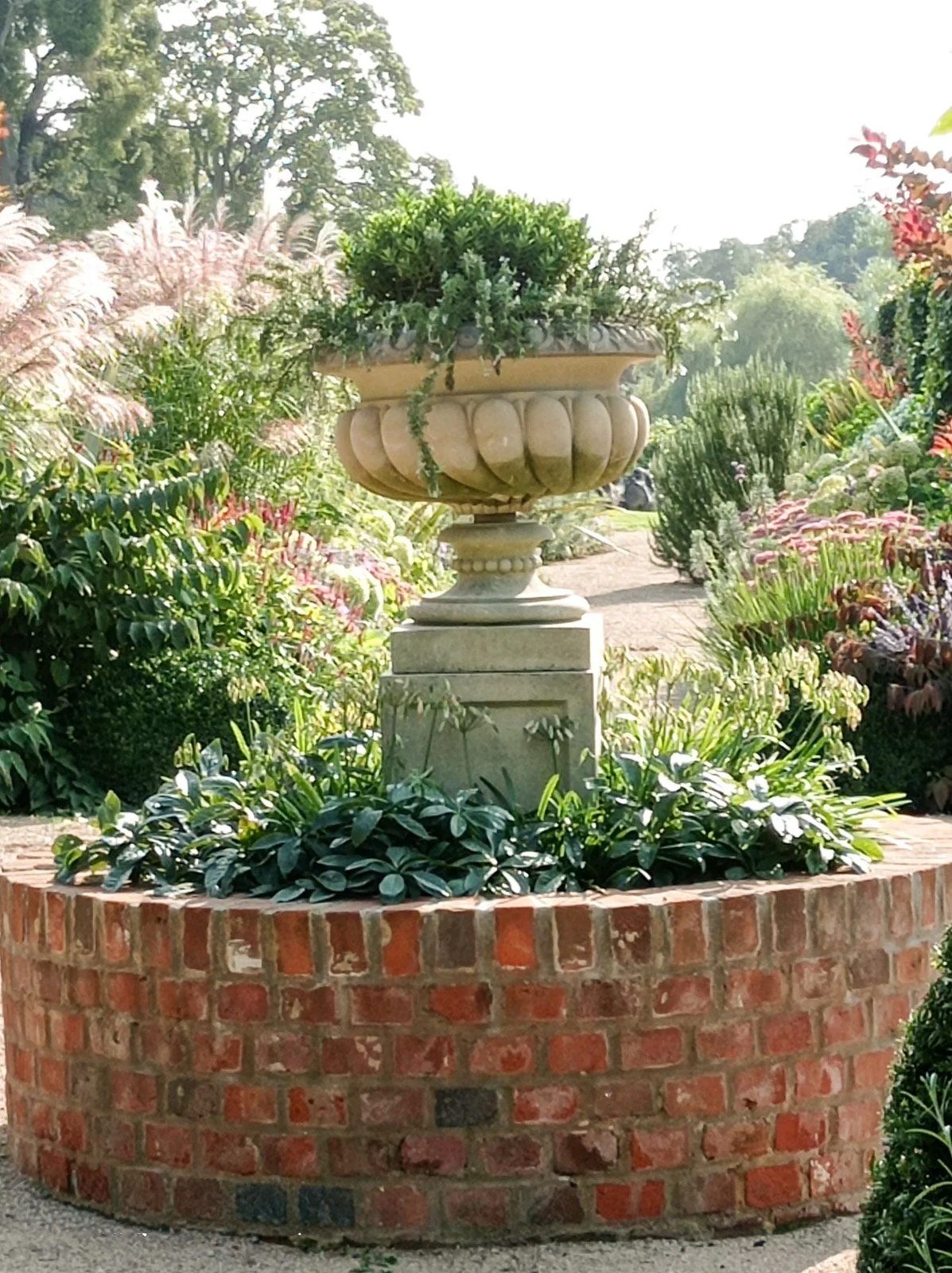 Weeping Rosemary starting to grow in this urn, underplanted with Agapanthus in Stoke Poges
