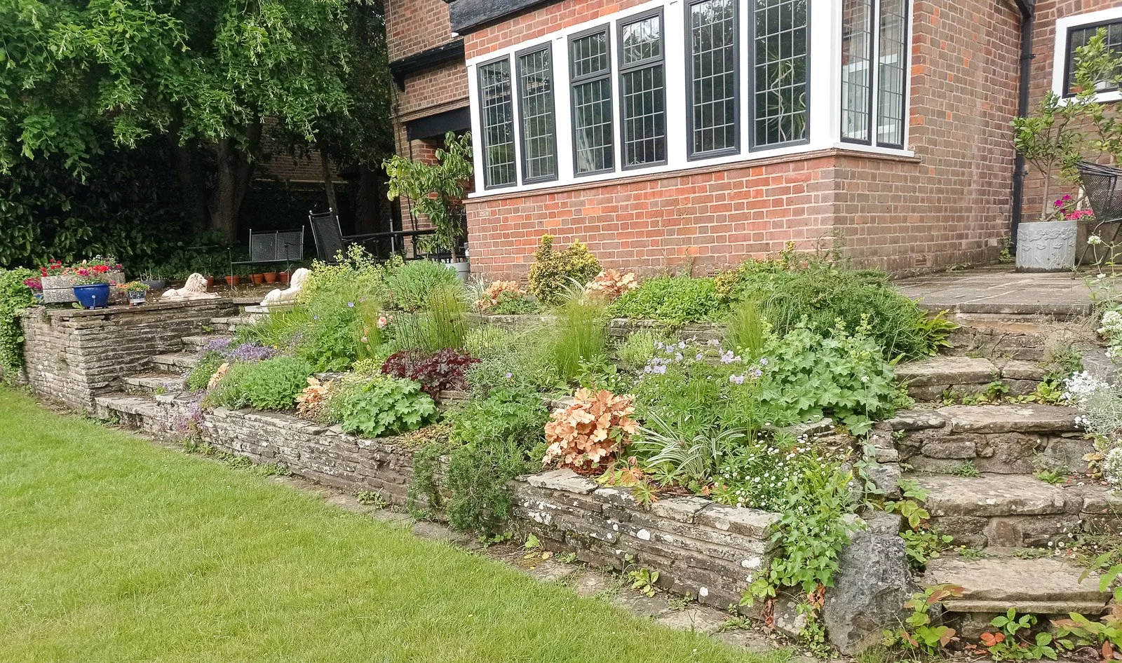 Very dry terraced border thriving in full sun in Beaconsfield 