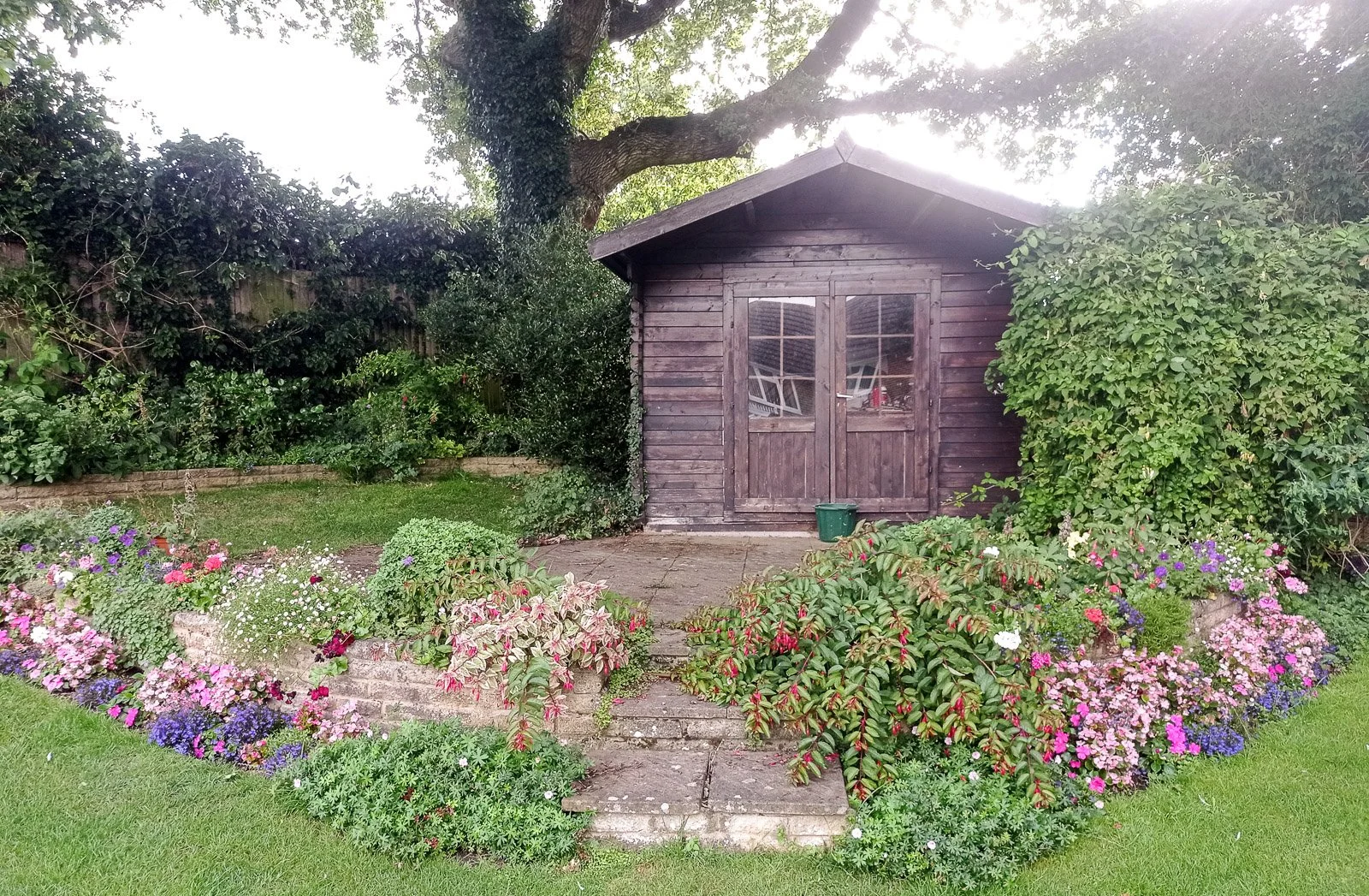 Plenty of colourful plants thriving in the shade of an oak tree in Flackwell Heath