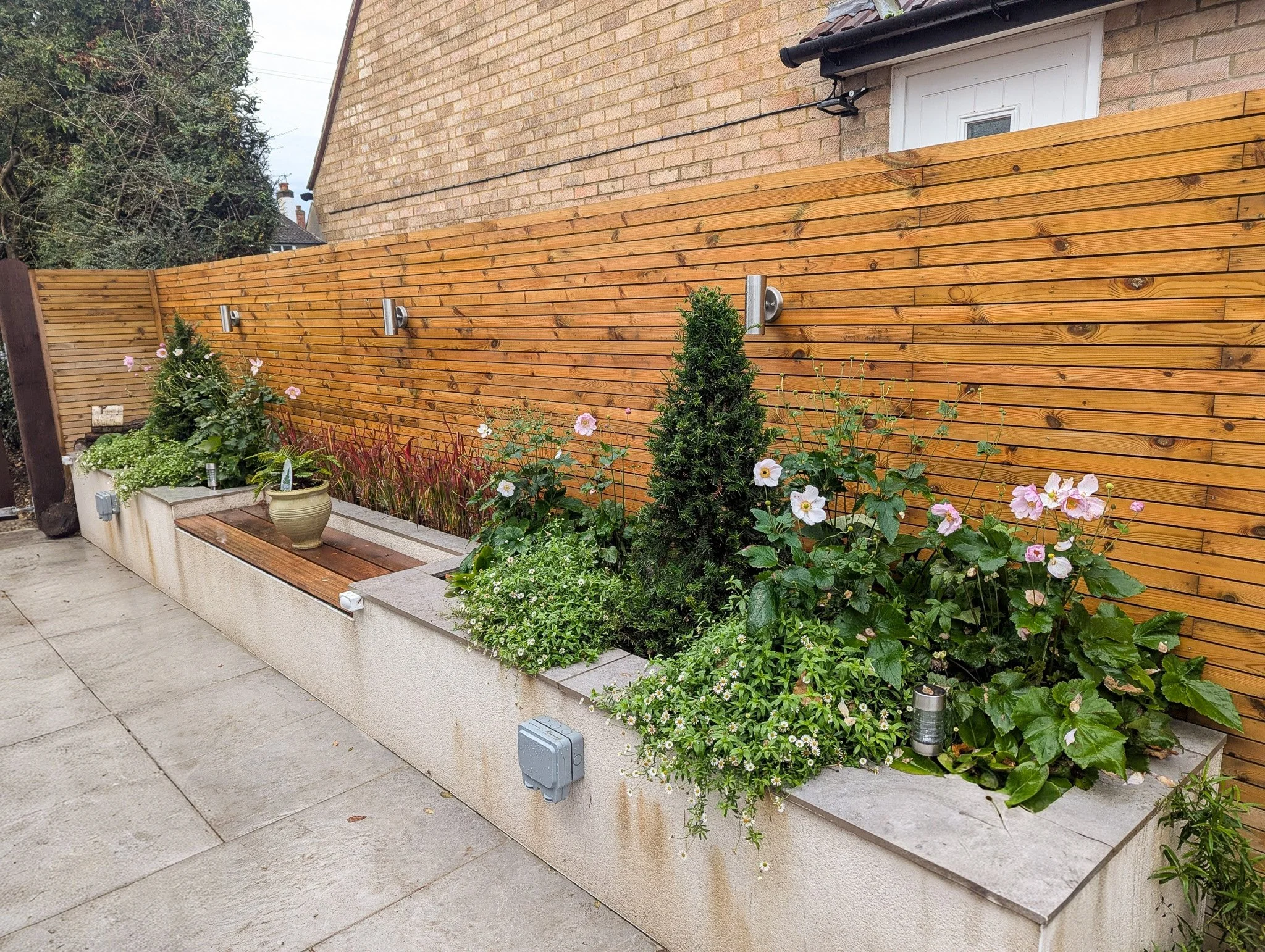 A seating area with topiary and soft planting in Buckinghamshire