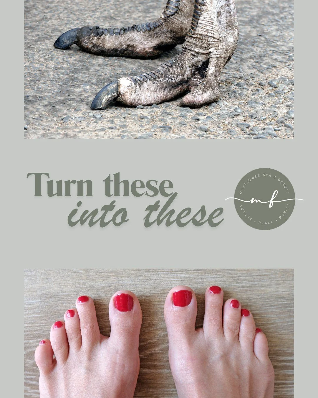 W E 👣  L O V E 👣  F E E T 

Believe it or not, we actually love making your feet look and feel beautiful.

Book a pedicure and enjoy added massage at no extra cost.

Select 'step into summer' special offer 

Pop in and find out more

love 
Mayflowe
