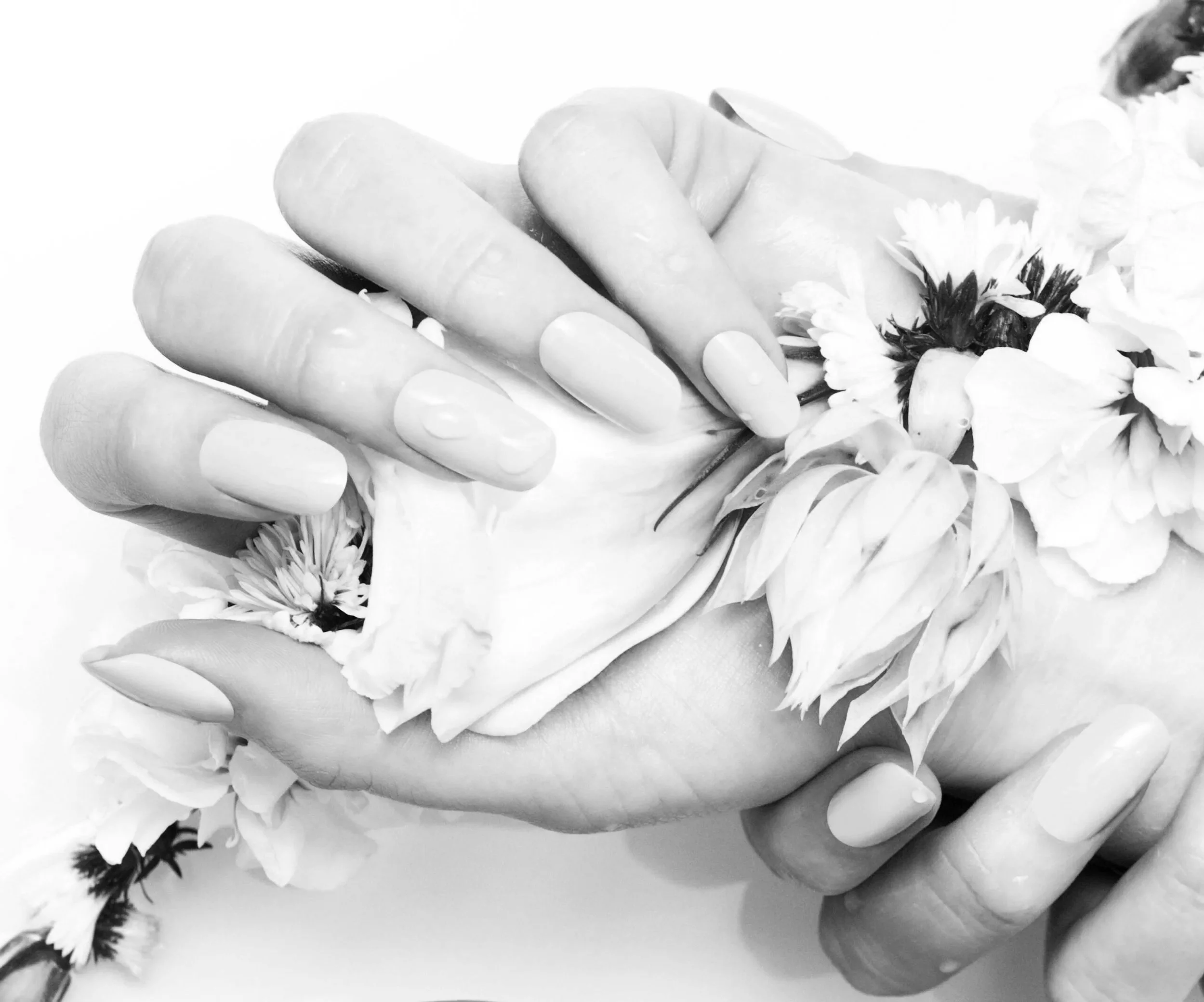 Hands & Feet