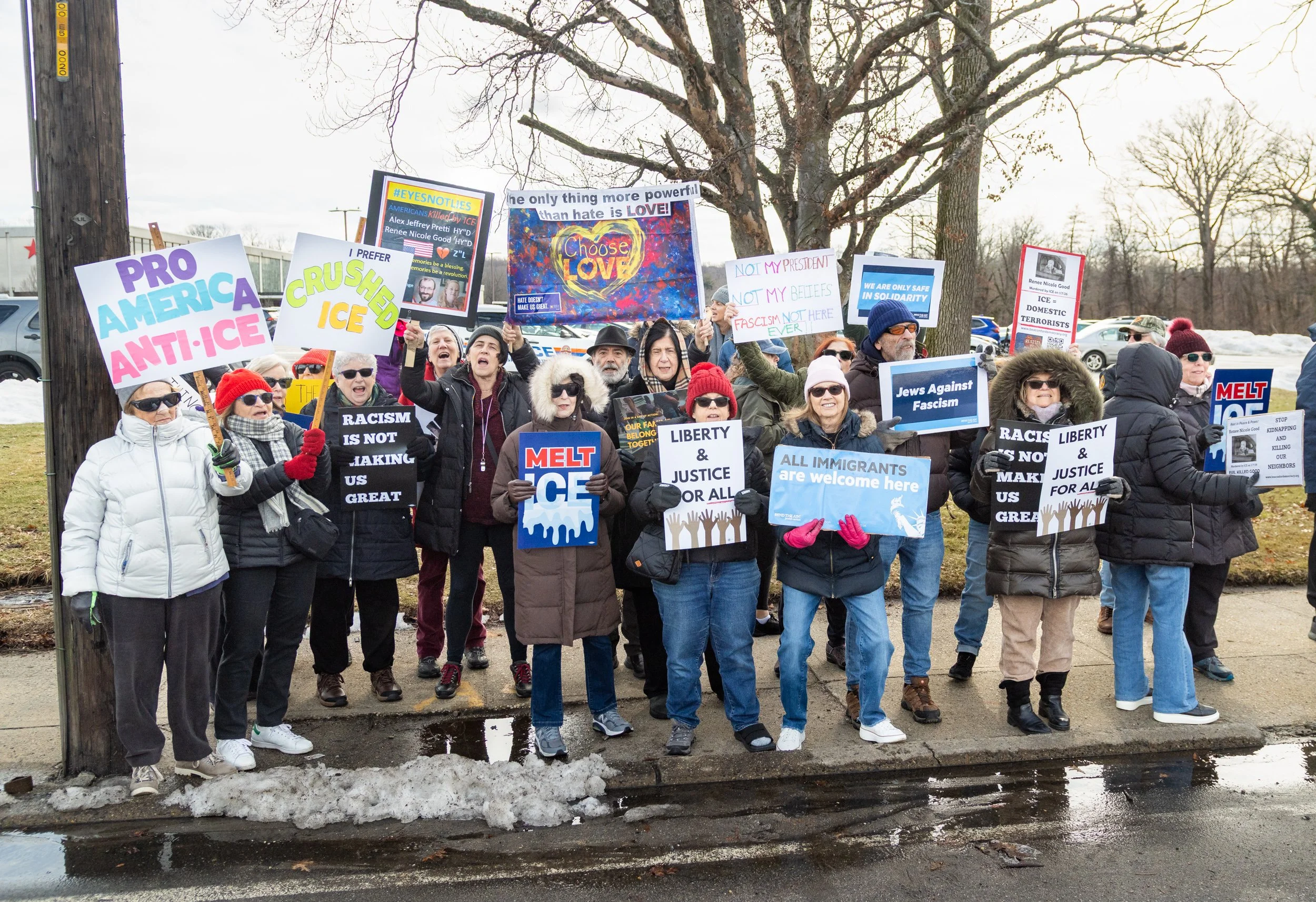 Great Neck Democratic Club at a anti-ICE rally.