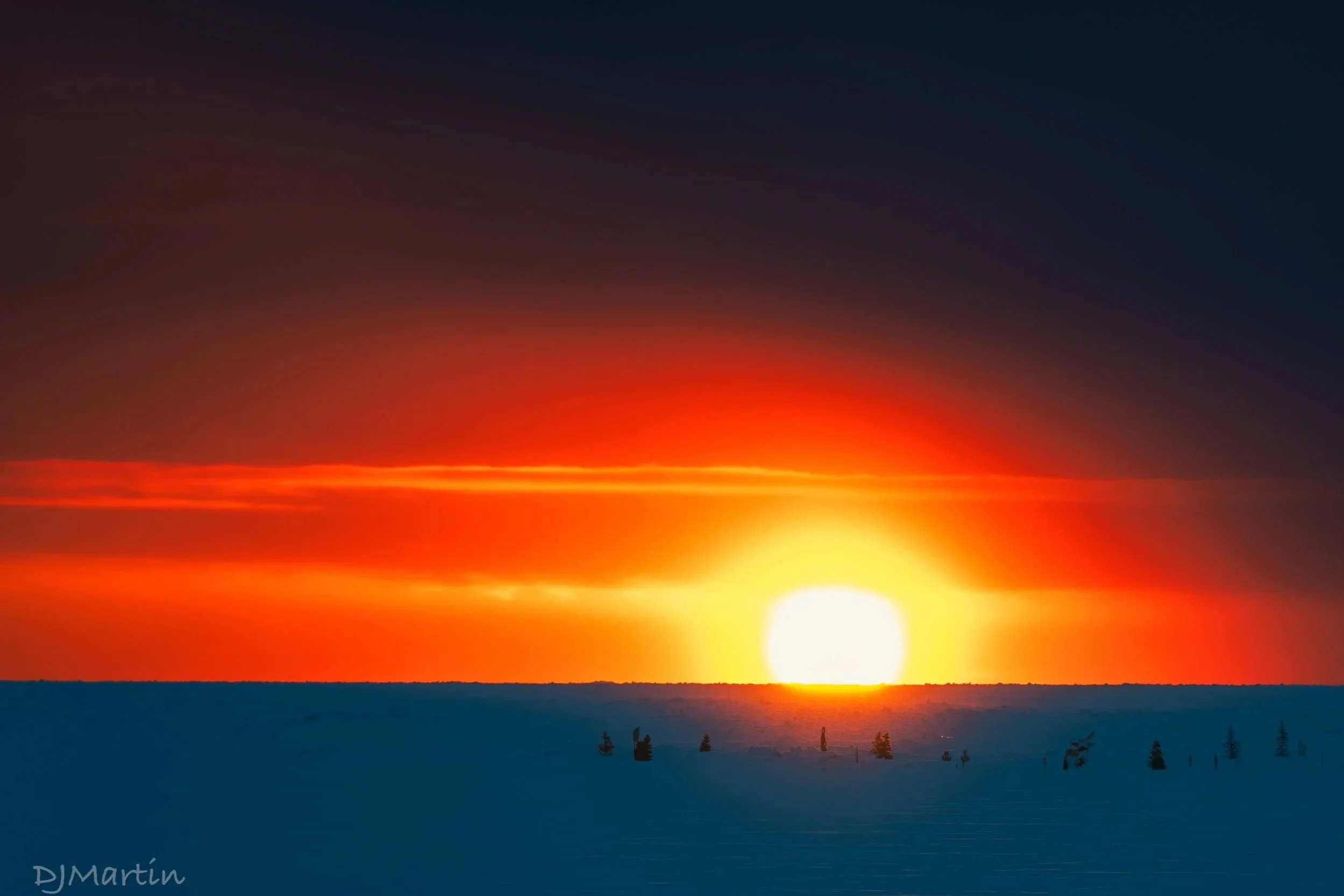 Sunrise over a snow-covered frozen Bering Sea, with a few scattered trees; Nome's "National Forest", vibrant orange and yellow sky, dark clouds above.