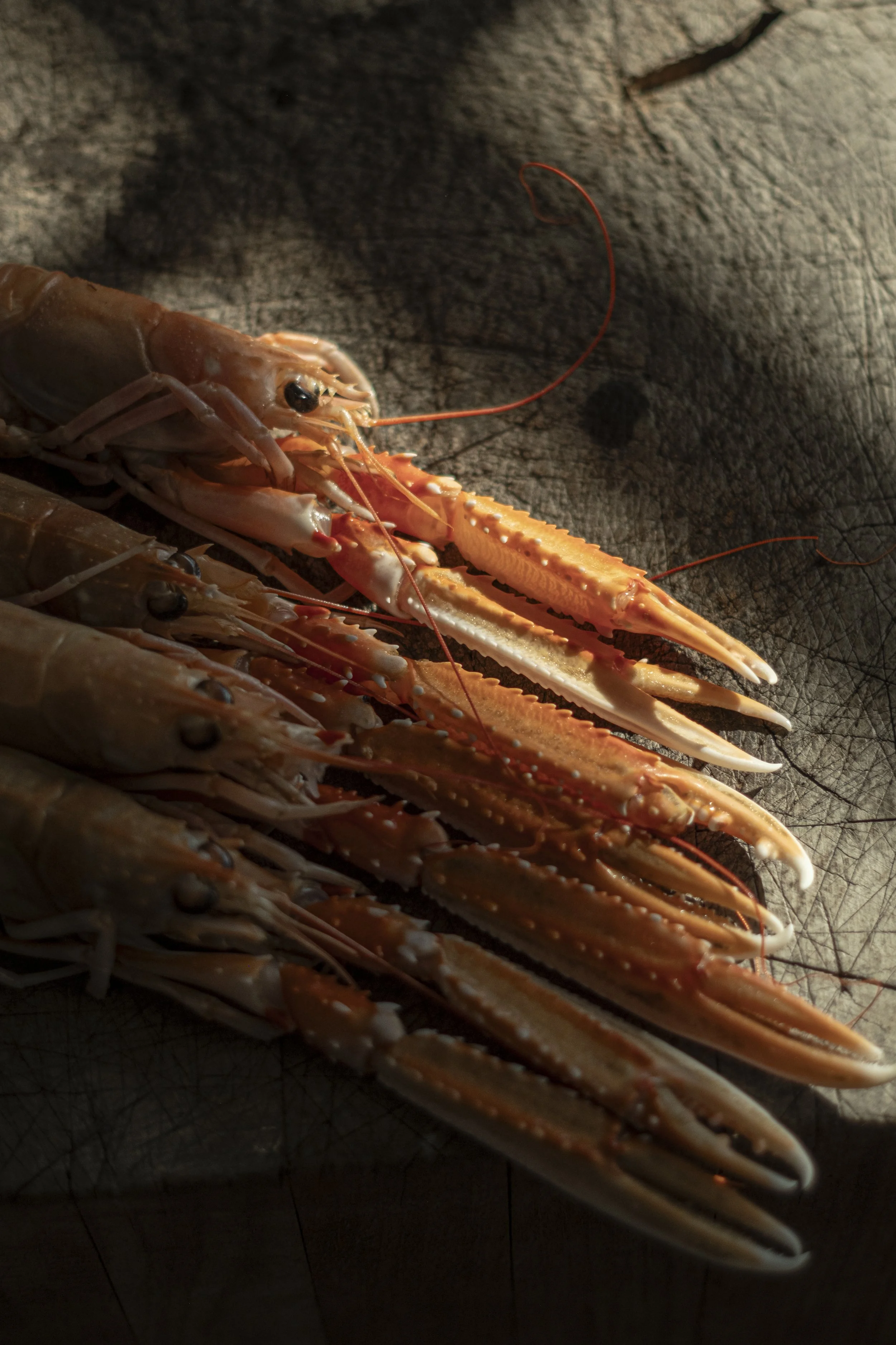 detail foto van langoustine gerecht bij restaurant marquize westende