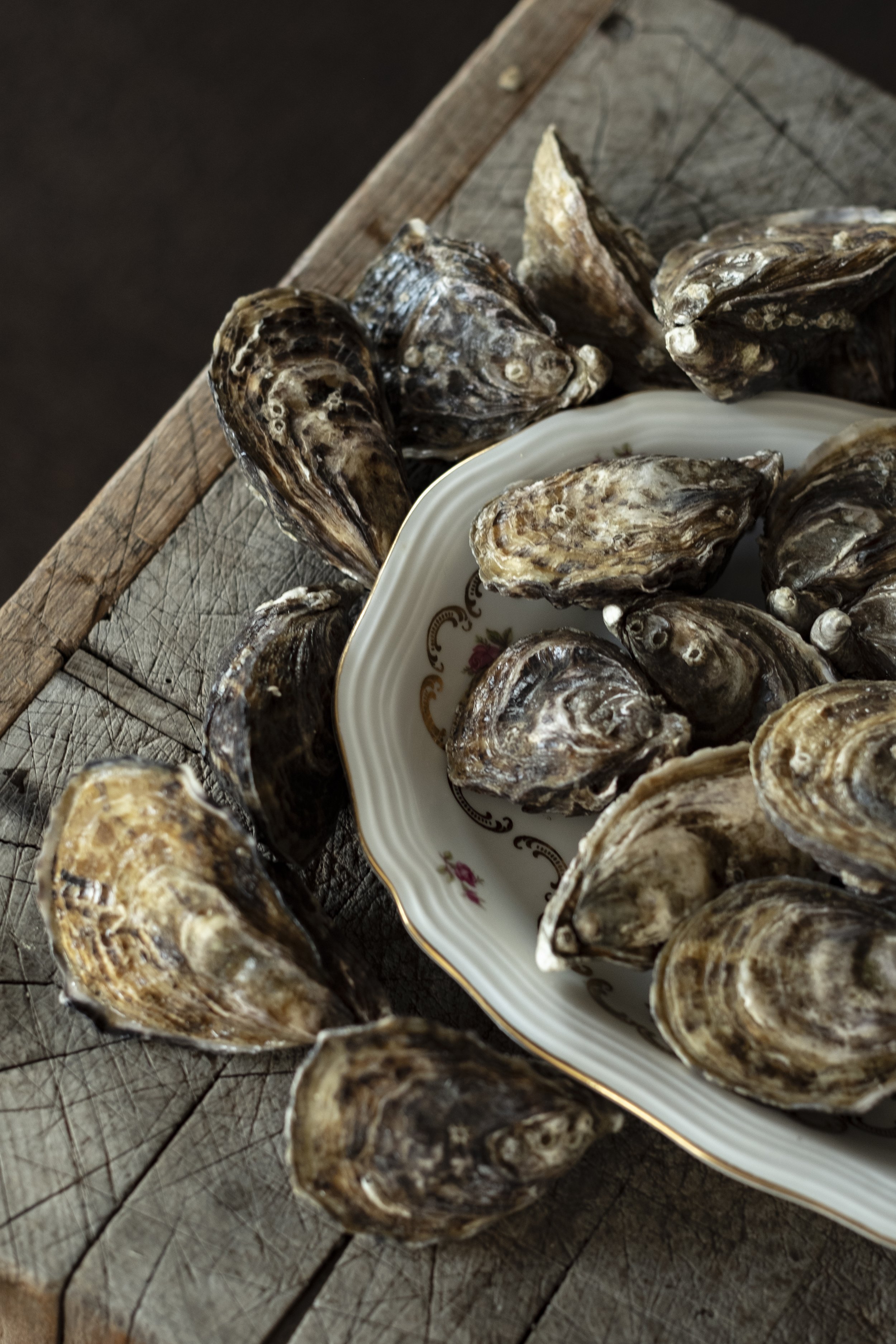 schaal moet oesters voorgerecht bij restaurant marquize westende