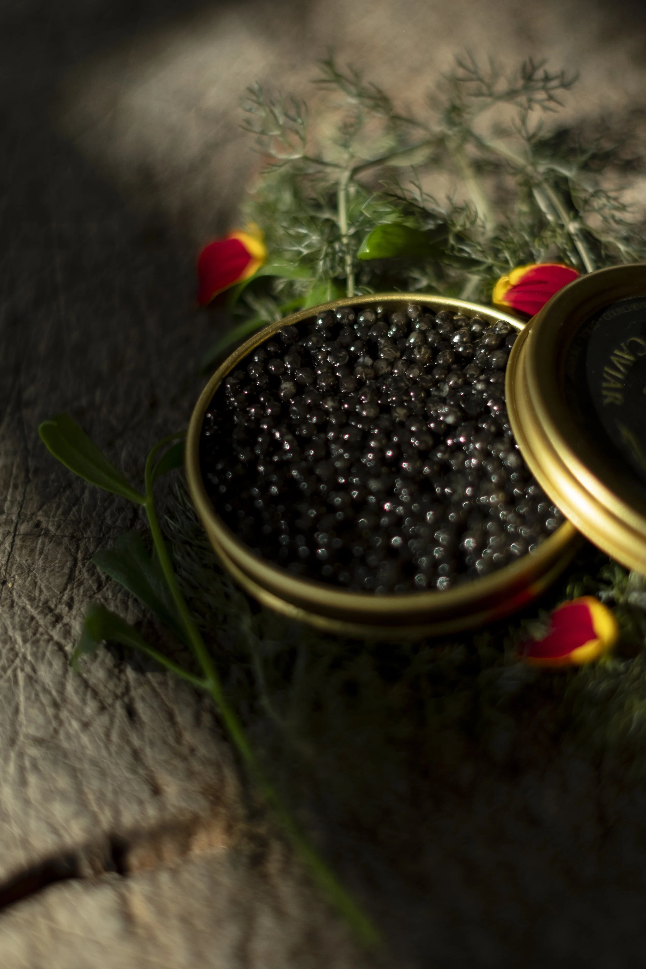 doosje met kaviaar bij restaurant marquize westende