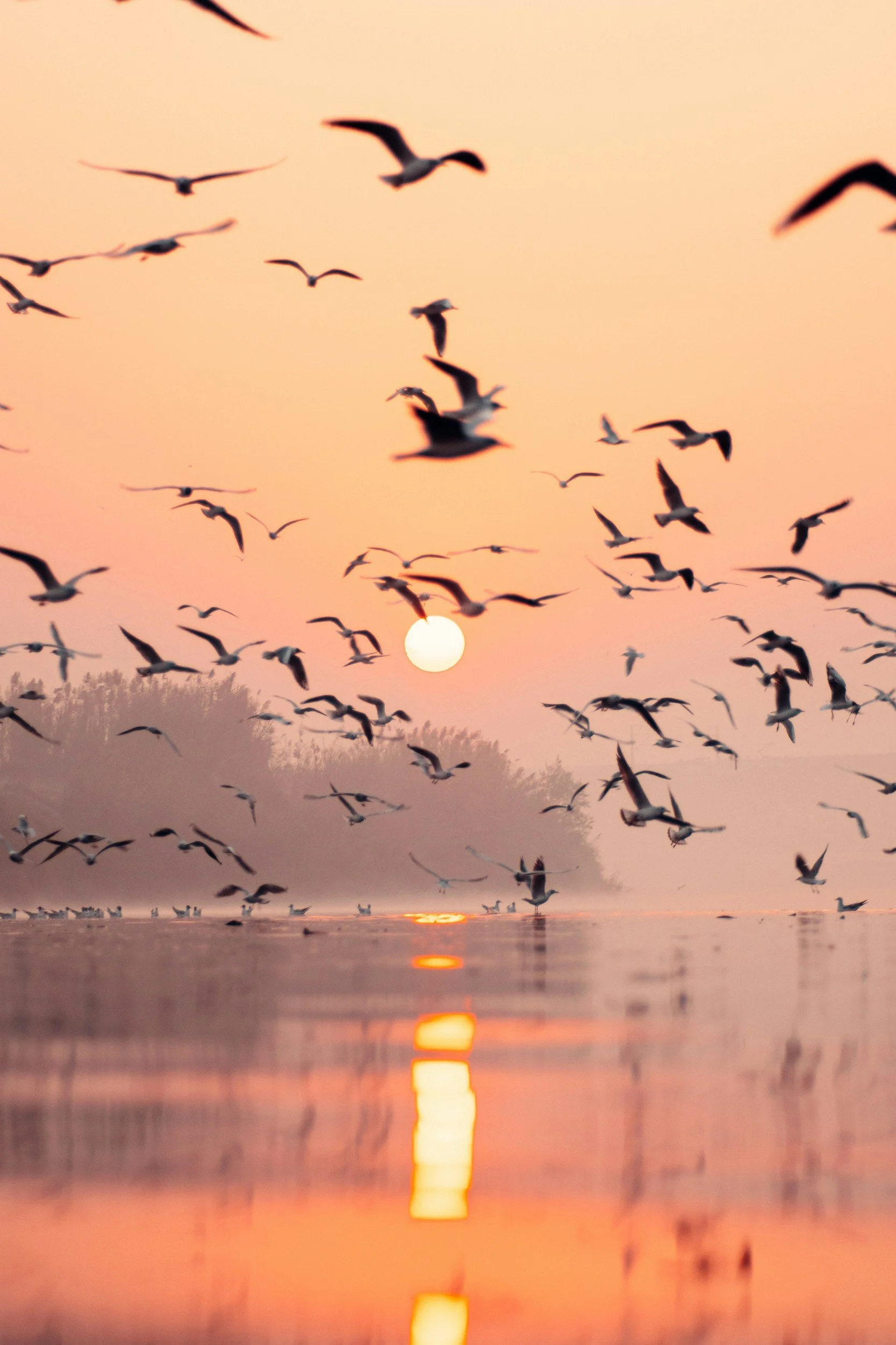 Calm natural landscape