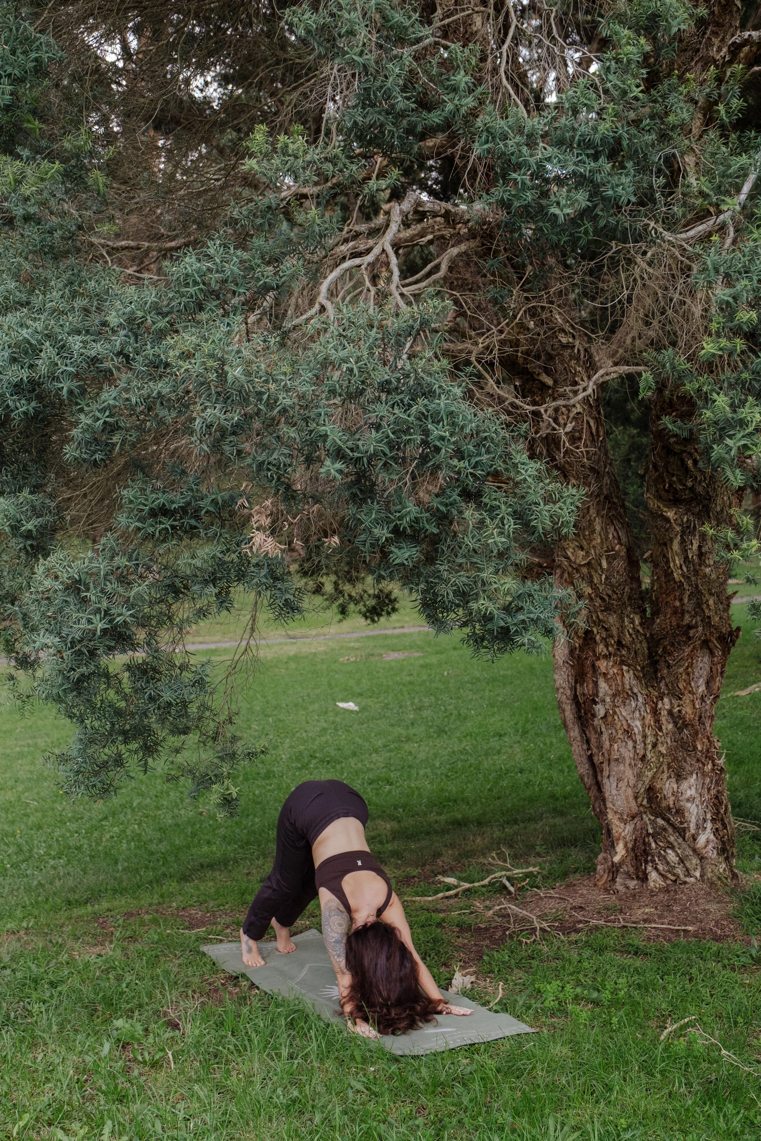Charlie_BrandingPhotoshoot-34-2.jpg