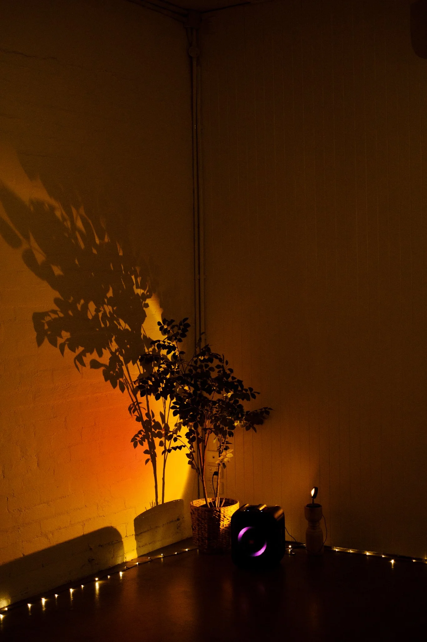 Studio-09.jpg
