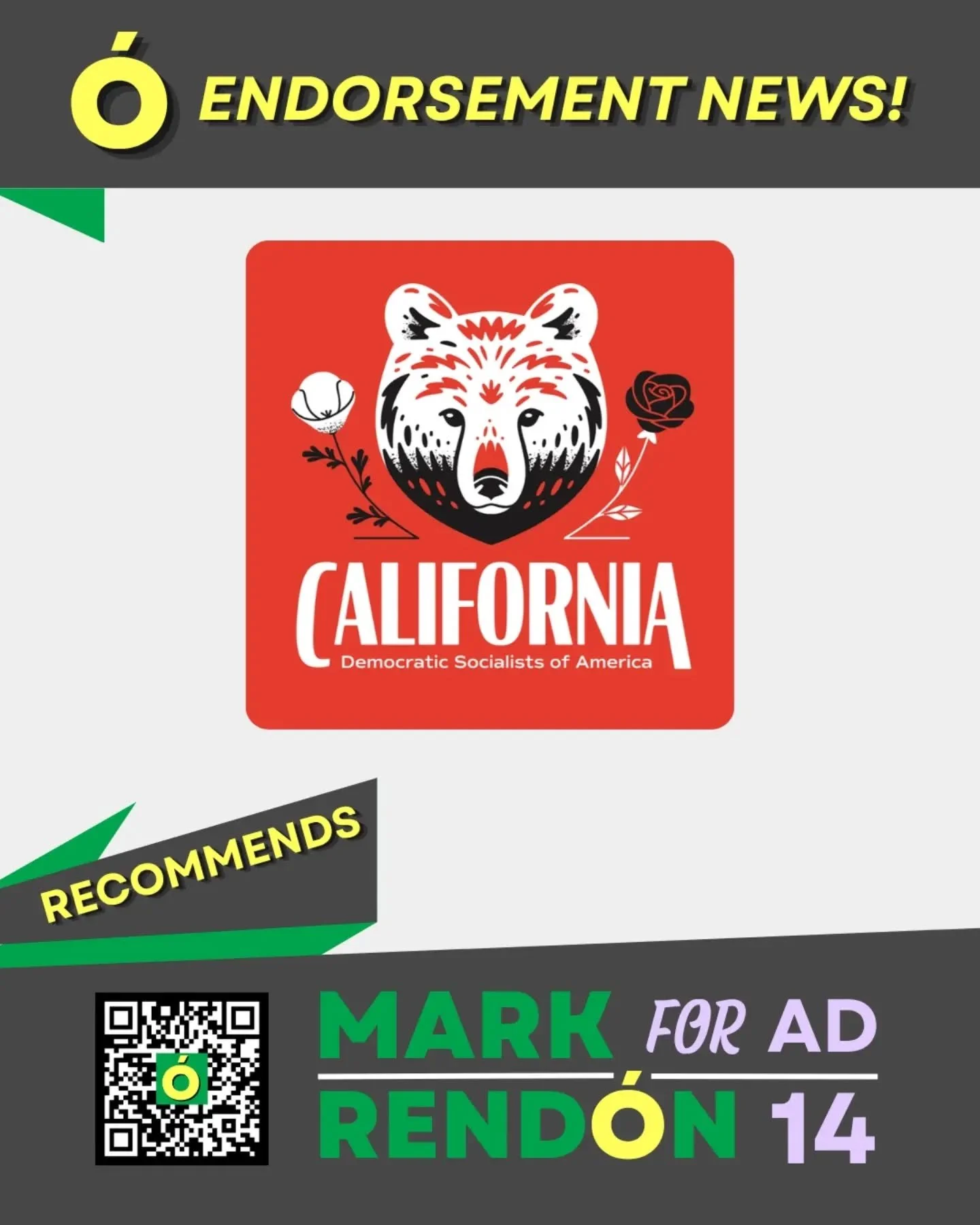 This is something I am so excited to share, not just because of the impact it will have on my campaign, but what this means for left unity in the US. 

I am very proud to announce that I have earned a recommendation from the California DSA for the AD