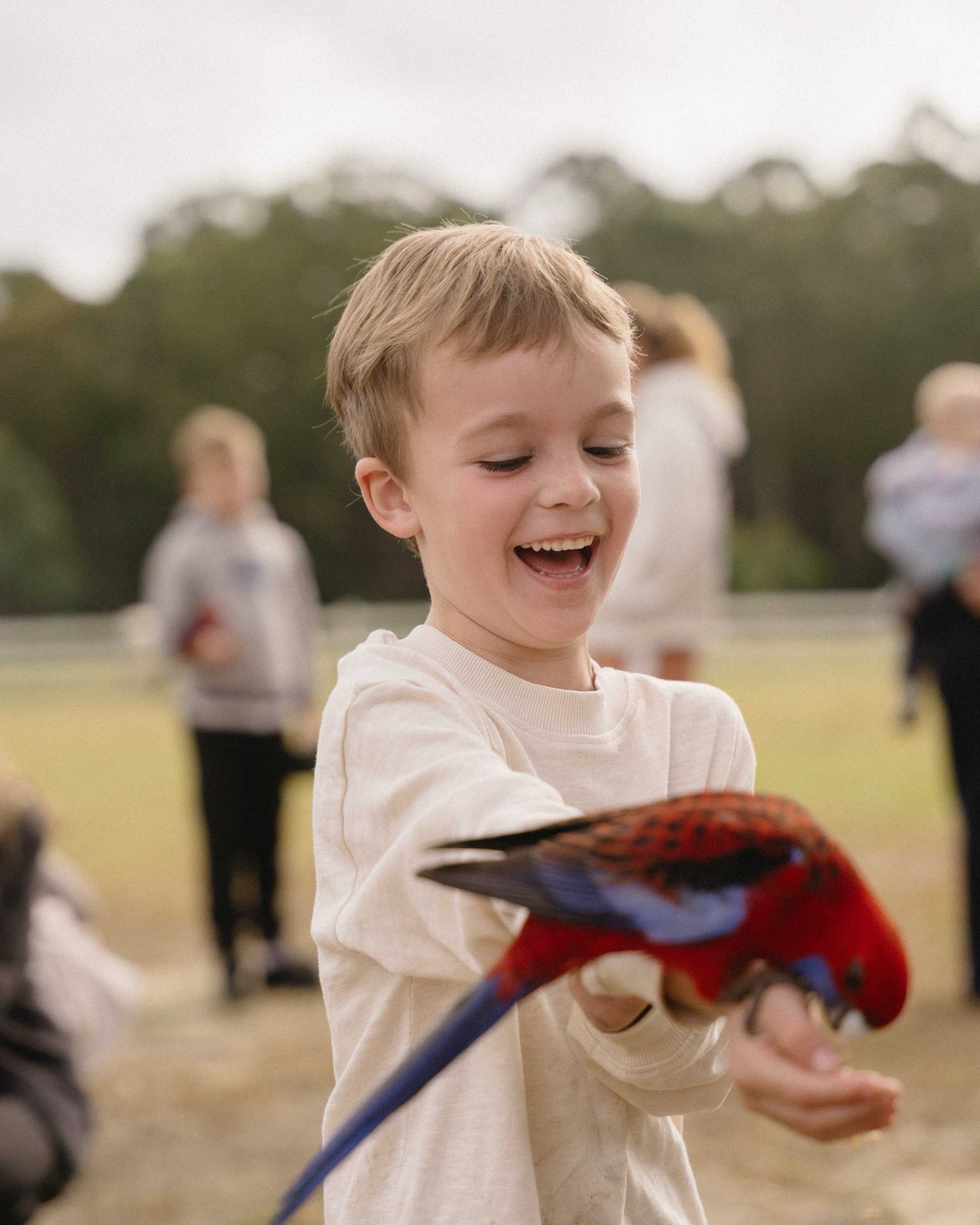 The Woods Farm really is a kids&rsquo; wonderland&hellip;and when the kids are entertained, it&rsquo;s an adult wonderland too 😝

Such a beautiful property, with animal feedings to start the morning, the ultimate kids&rsquo; playground, a coffee car