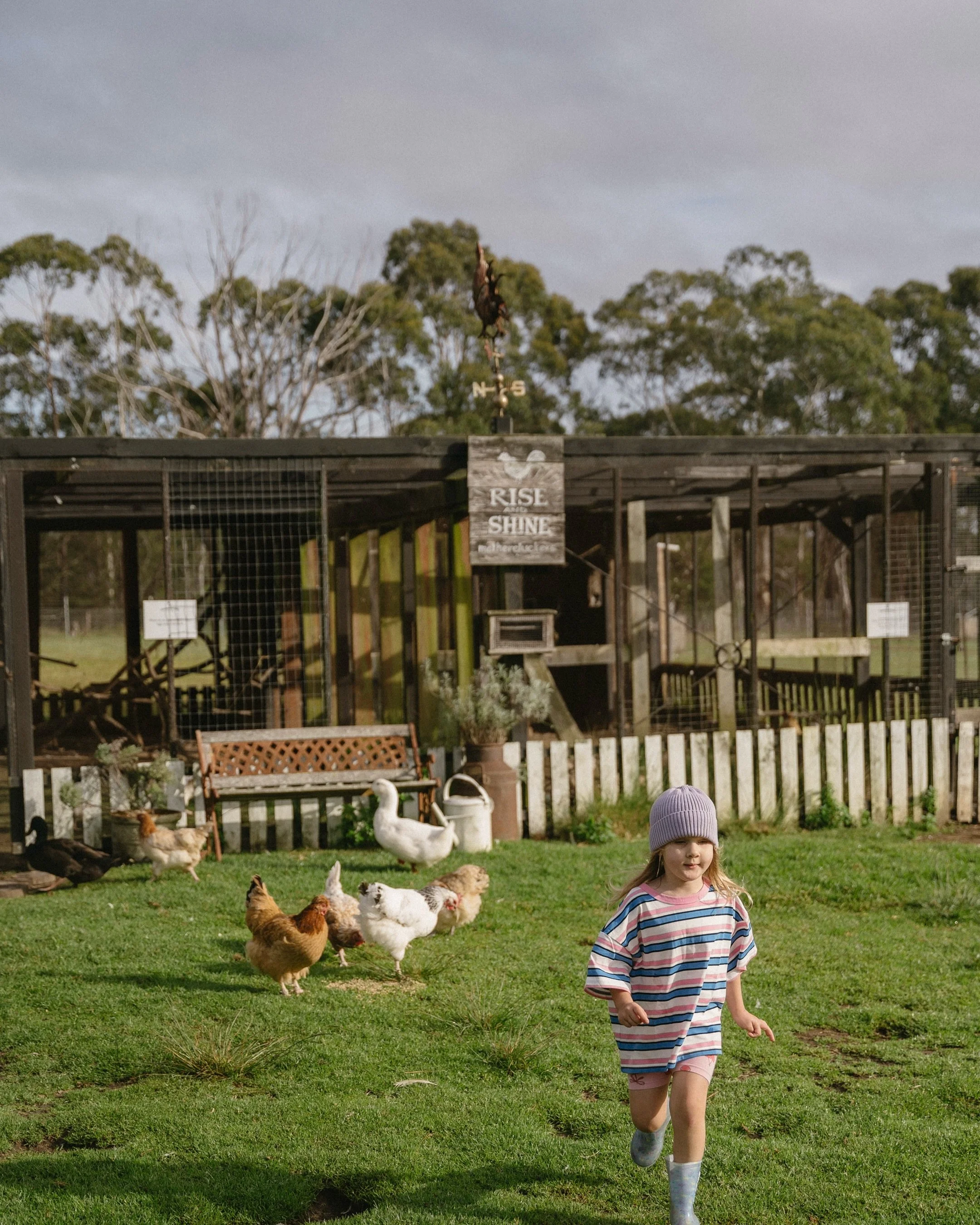The sweetest mornings watching the kidlets feed the farm animals. Such a highlight of our weekend away! 

@thewoodsfarmjervisbay_ 
@maywild.venues 
@visitnsw 
@visitnswsouthcoast 

#farmlife #kids #kidsphotography #lifestylephotography #family