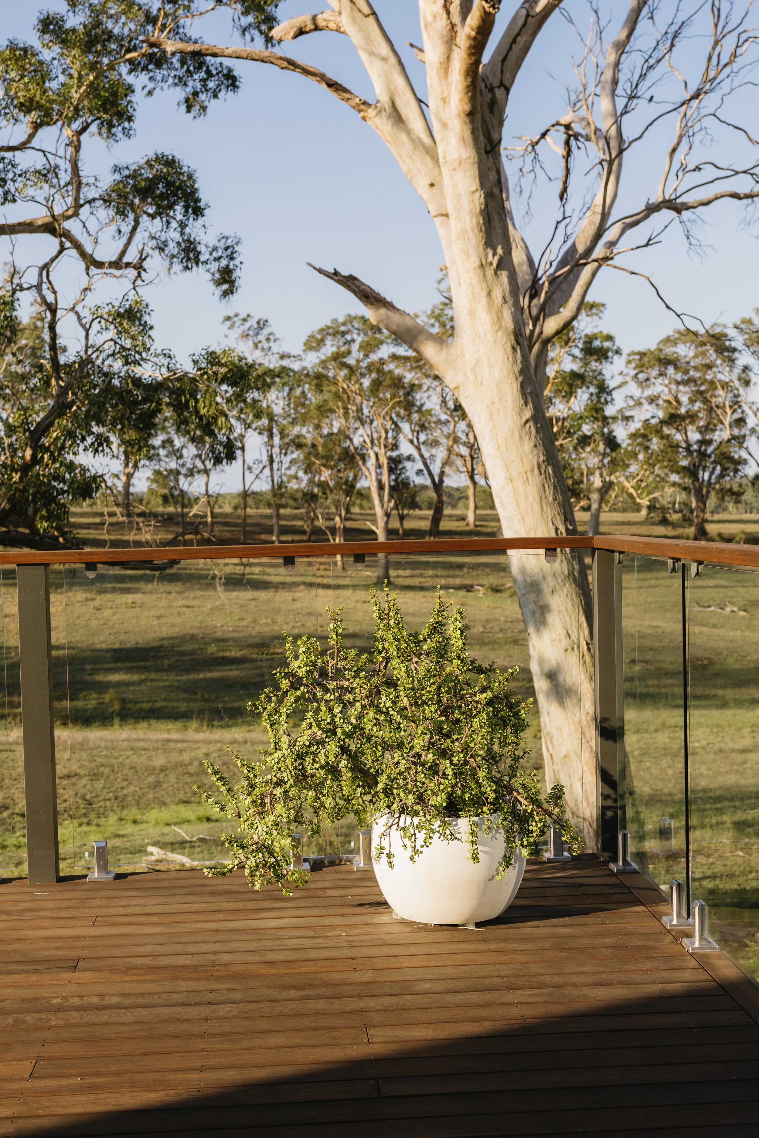 Image-65.jpg