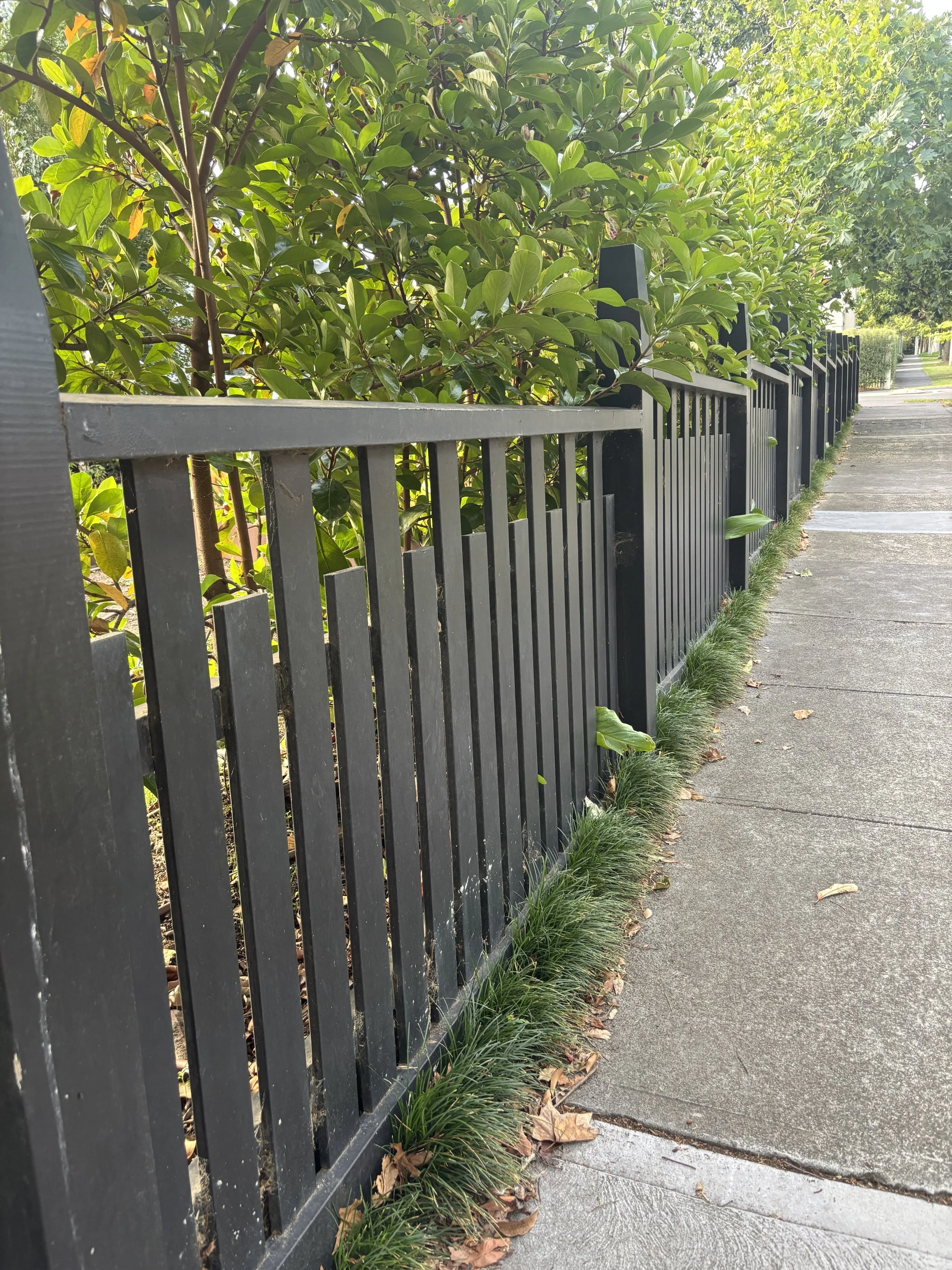 20260314_070307977_iOS copy.jpg