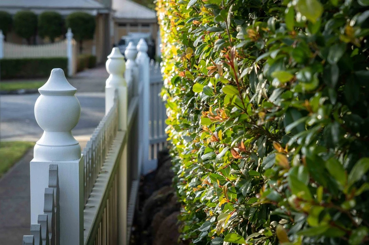 Close-up of a white picket fence next to a well-maintained green hedge in a suburban neighborhood during daytime.