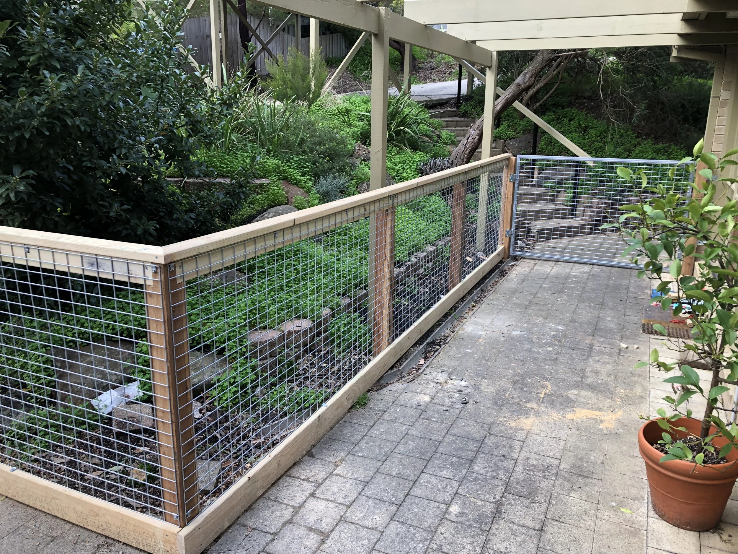 A wooden and wire fence enclosure on a patio with a garden behind it and a small gate. Potted plant on the right side on a paved surface.