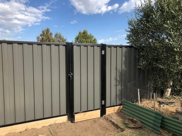 Metal fence with a small gate, outdoors, with trees and blue sky in the background.