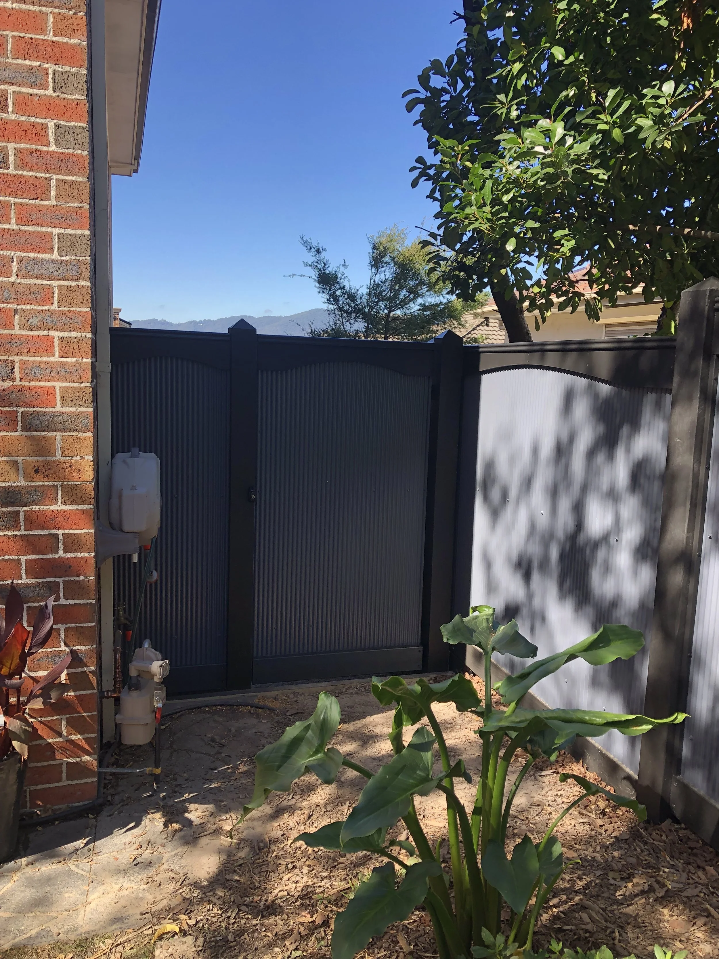 A backyard with a brick house on the left, a gray fence with a gate, a leafy tree, and green plants in the foreground. The sky is clear and blue in the background.