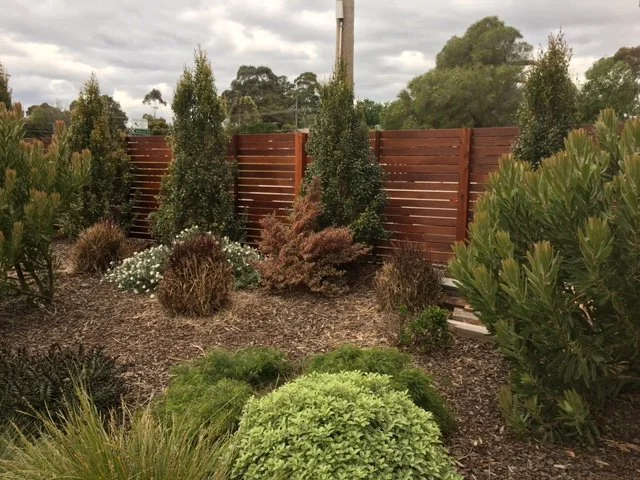 A landscaped backyard garden with various green shrubs and plants, a wooden fence, and a cloudy sky.