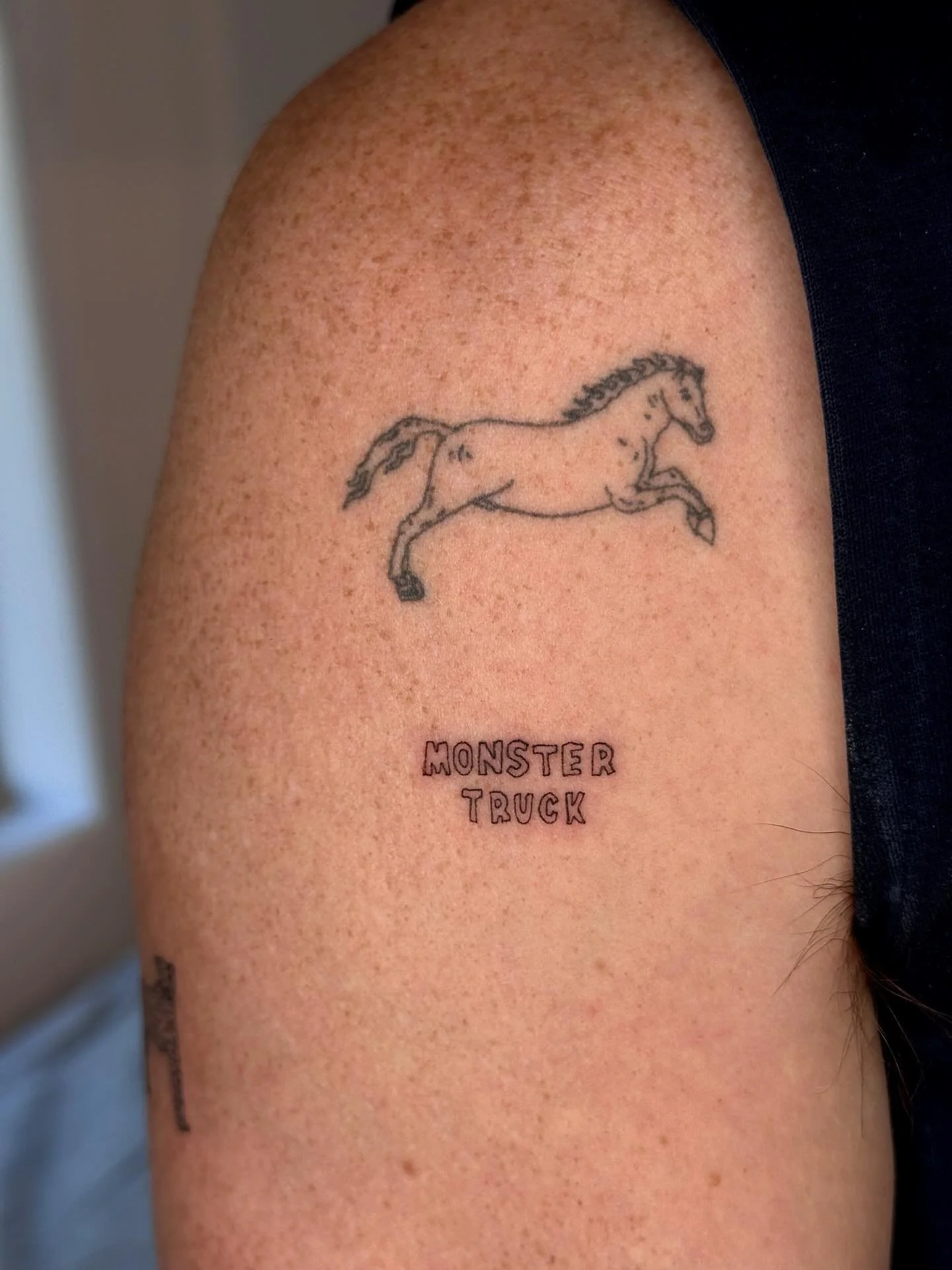 This tho. 👀 text for Milan&rsquo;s son under a healed pony x ❤️