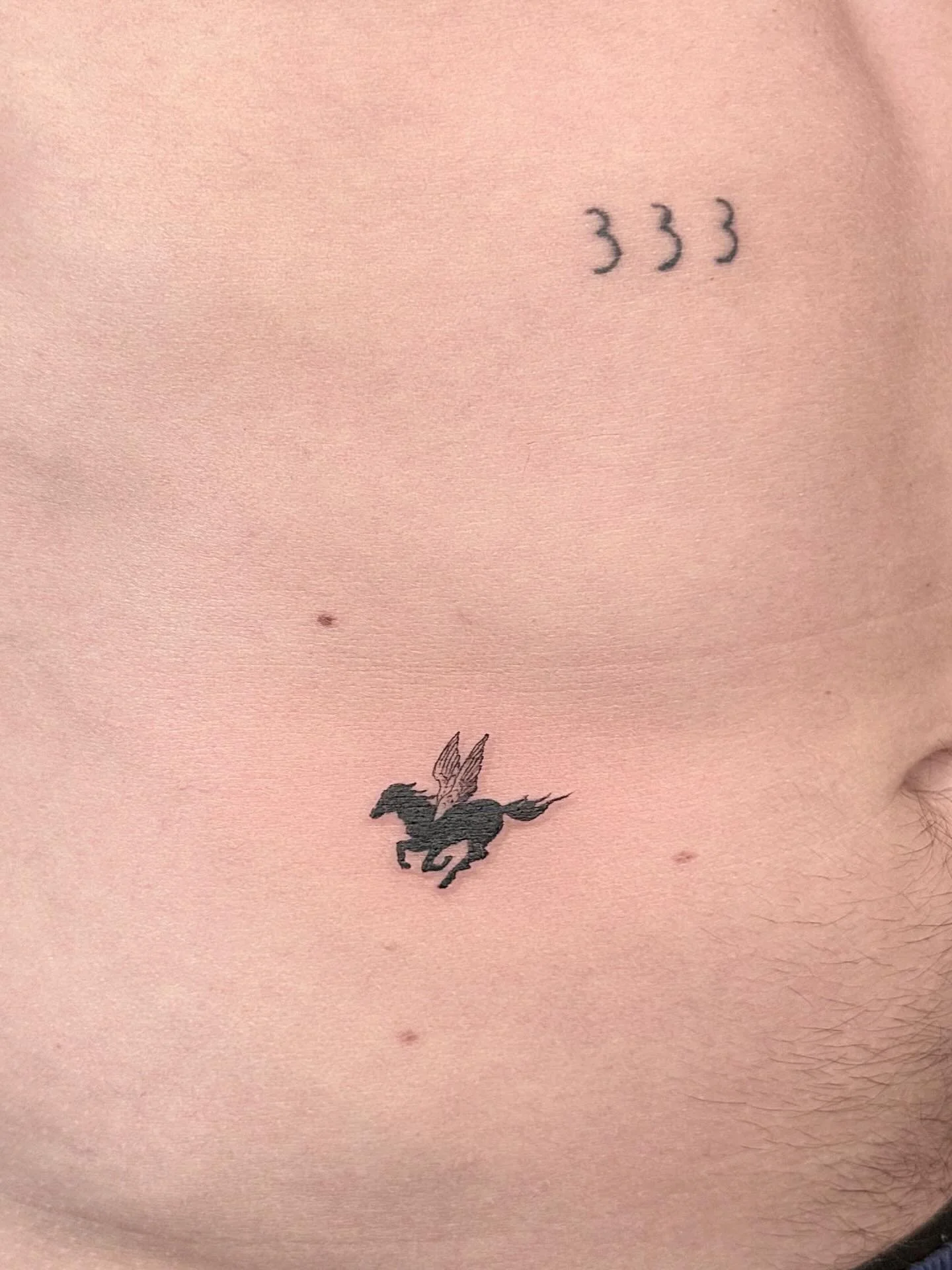 Book your bangers via venue ink (link in bio) 🐴