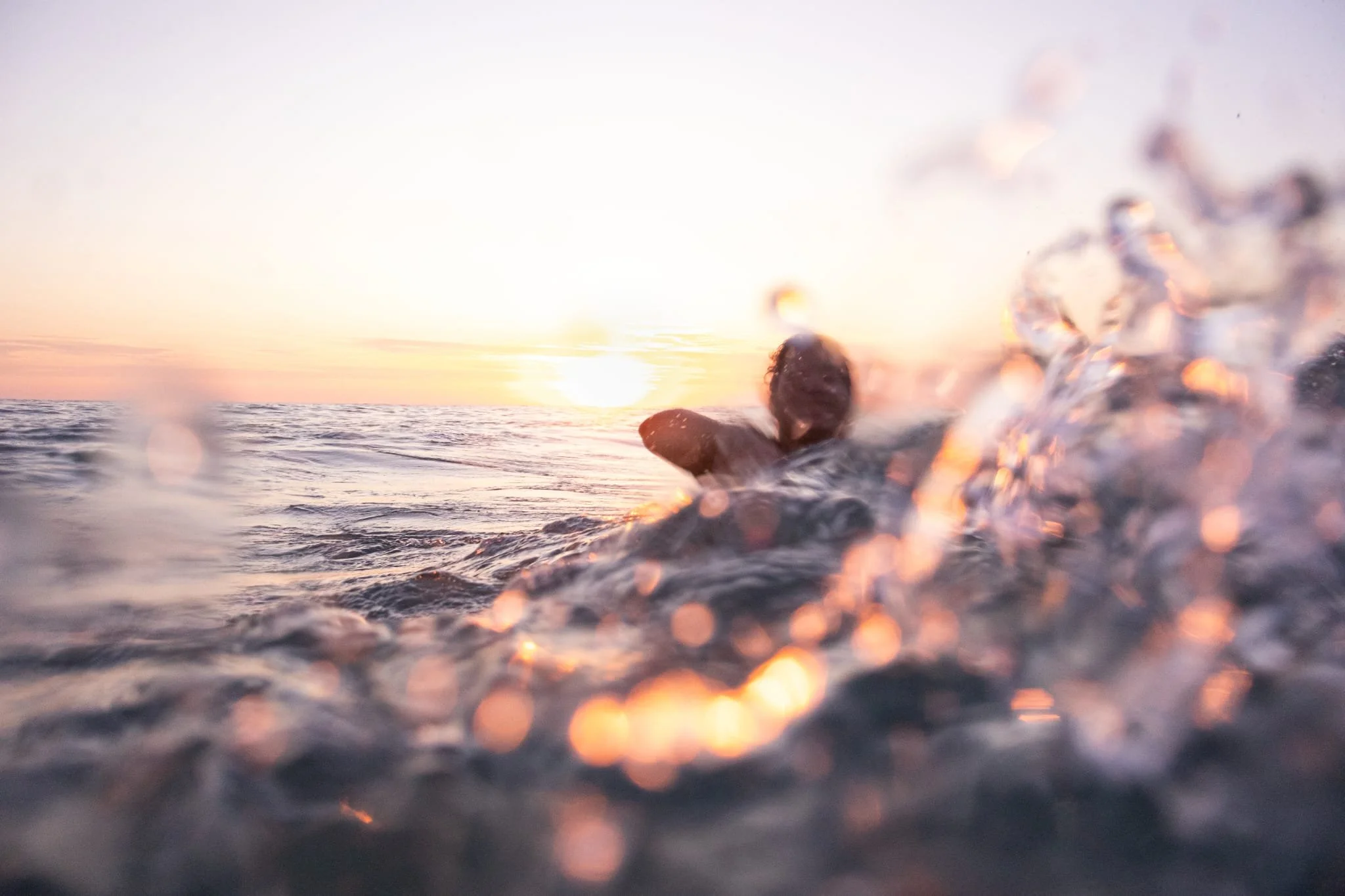 WhatsApp Image 2026-02-10 at 12.29.09.jpeg