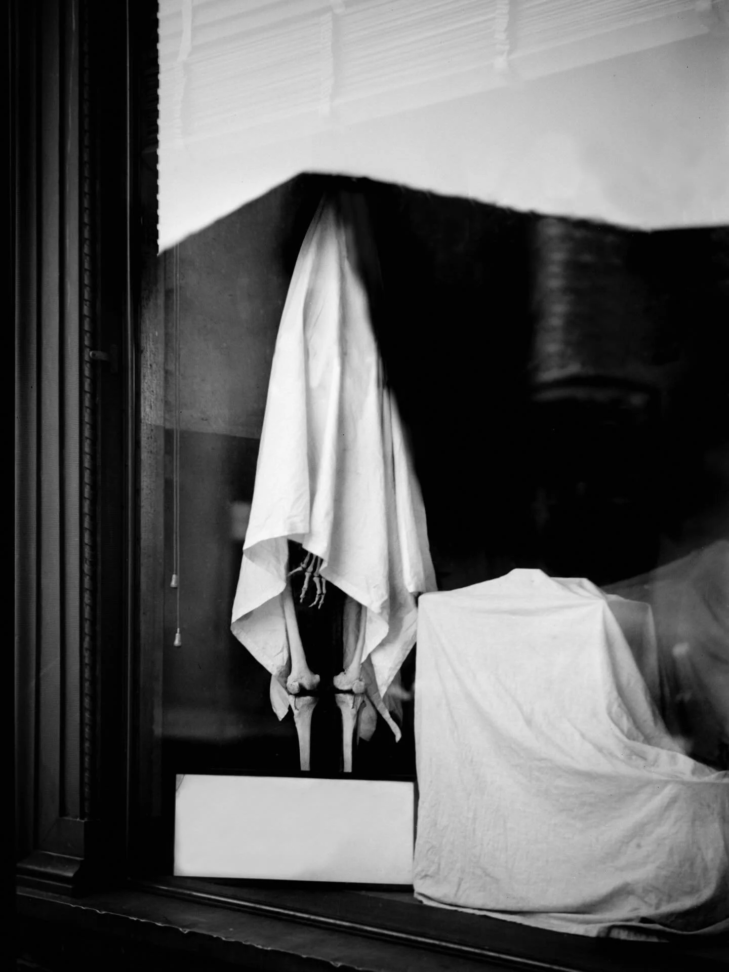 Lost Series 2026 #skeleton  #art #photography #peterfranck