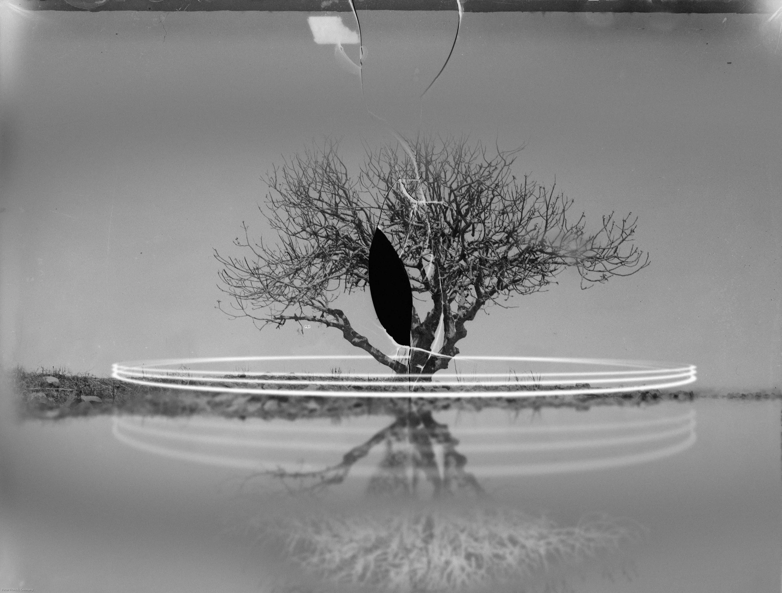 landscape23025 2.jpg