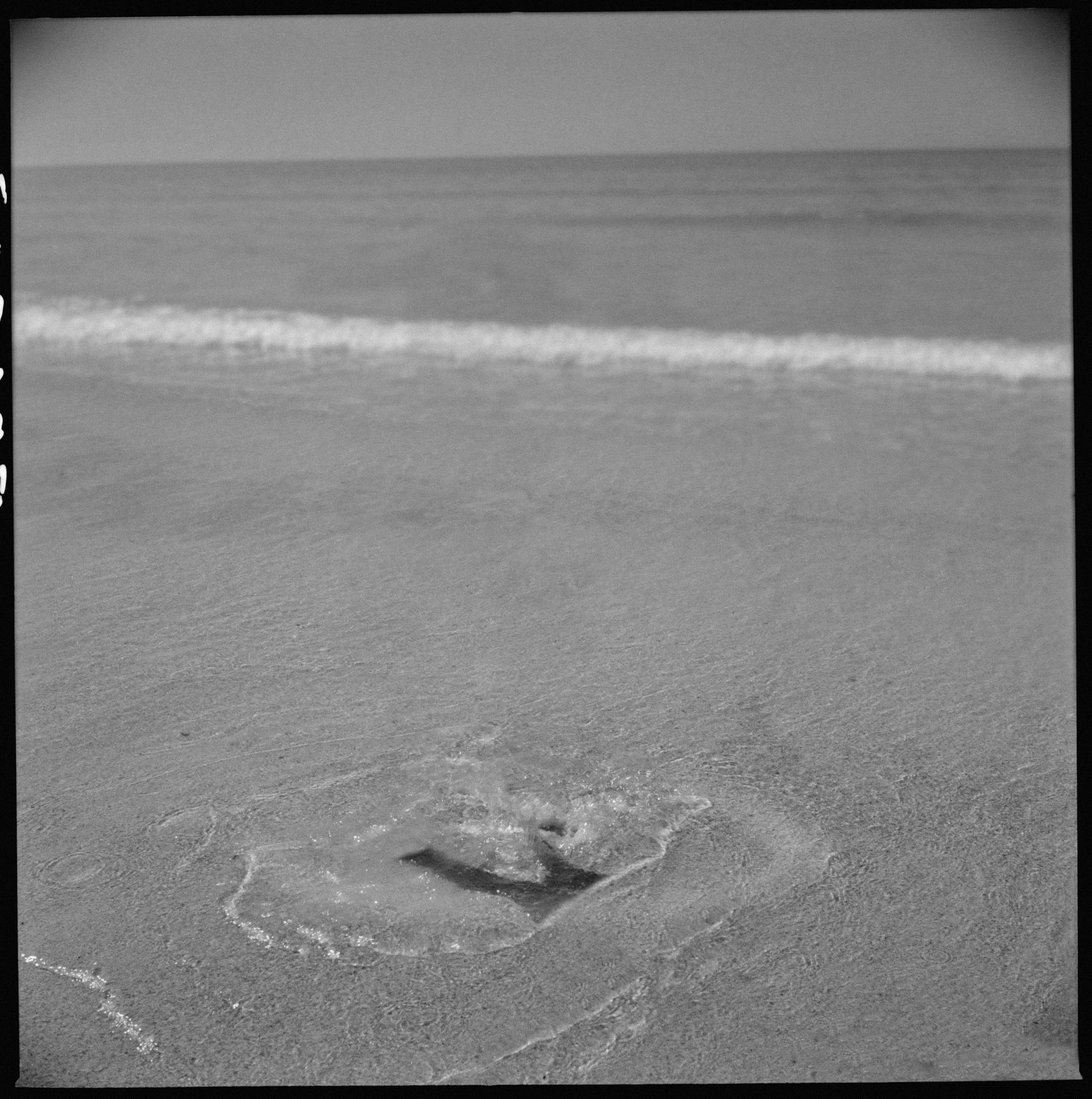 8c31053a kopieren.jpg