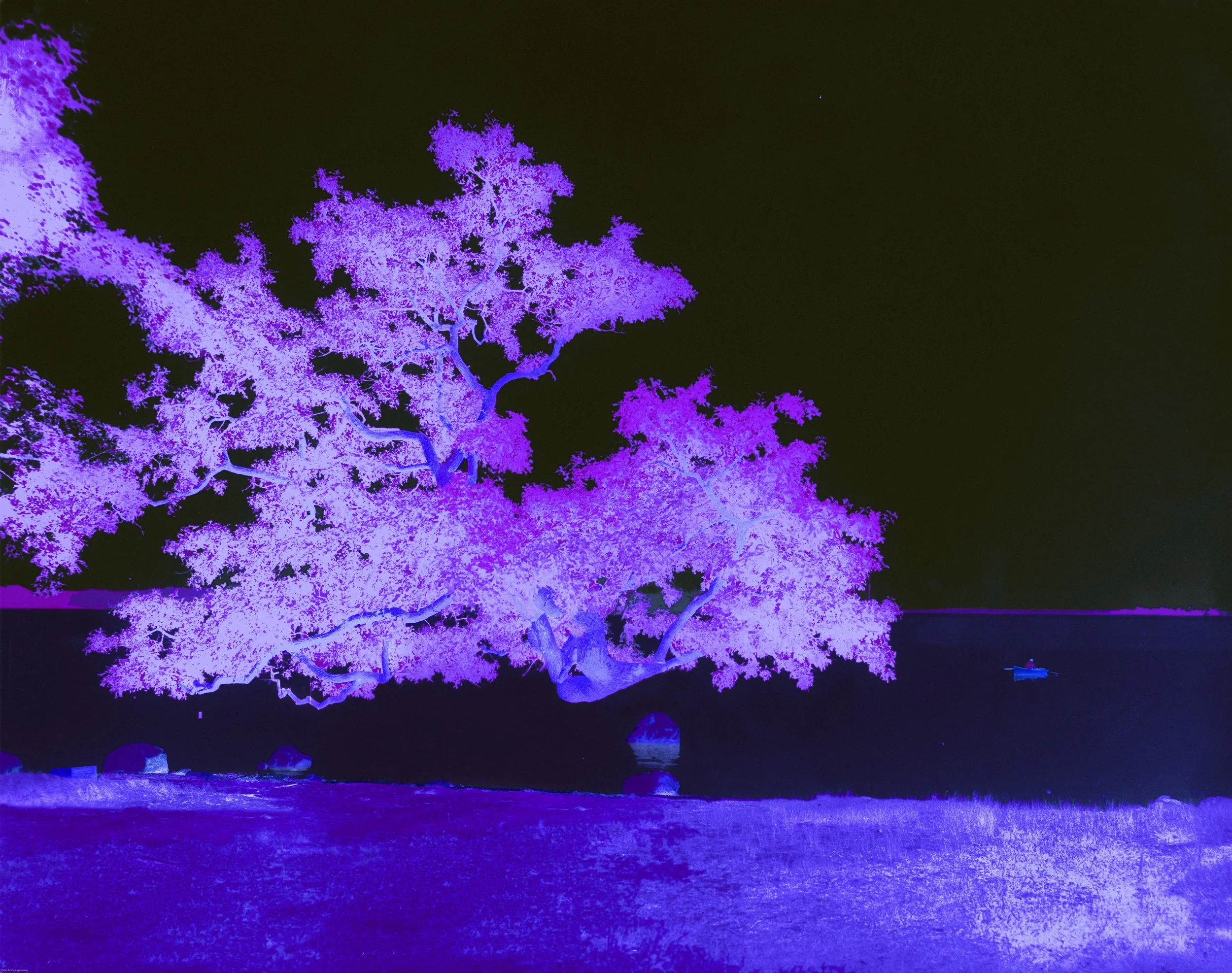 peace45a kopieren.jpg