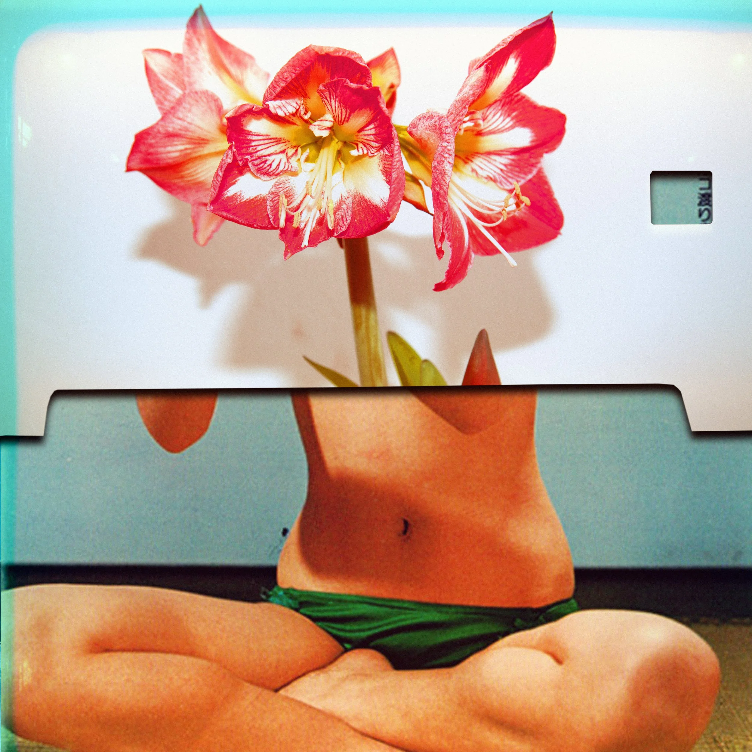 Kodakin kopieren2.jpg