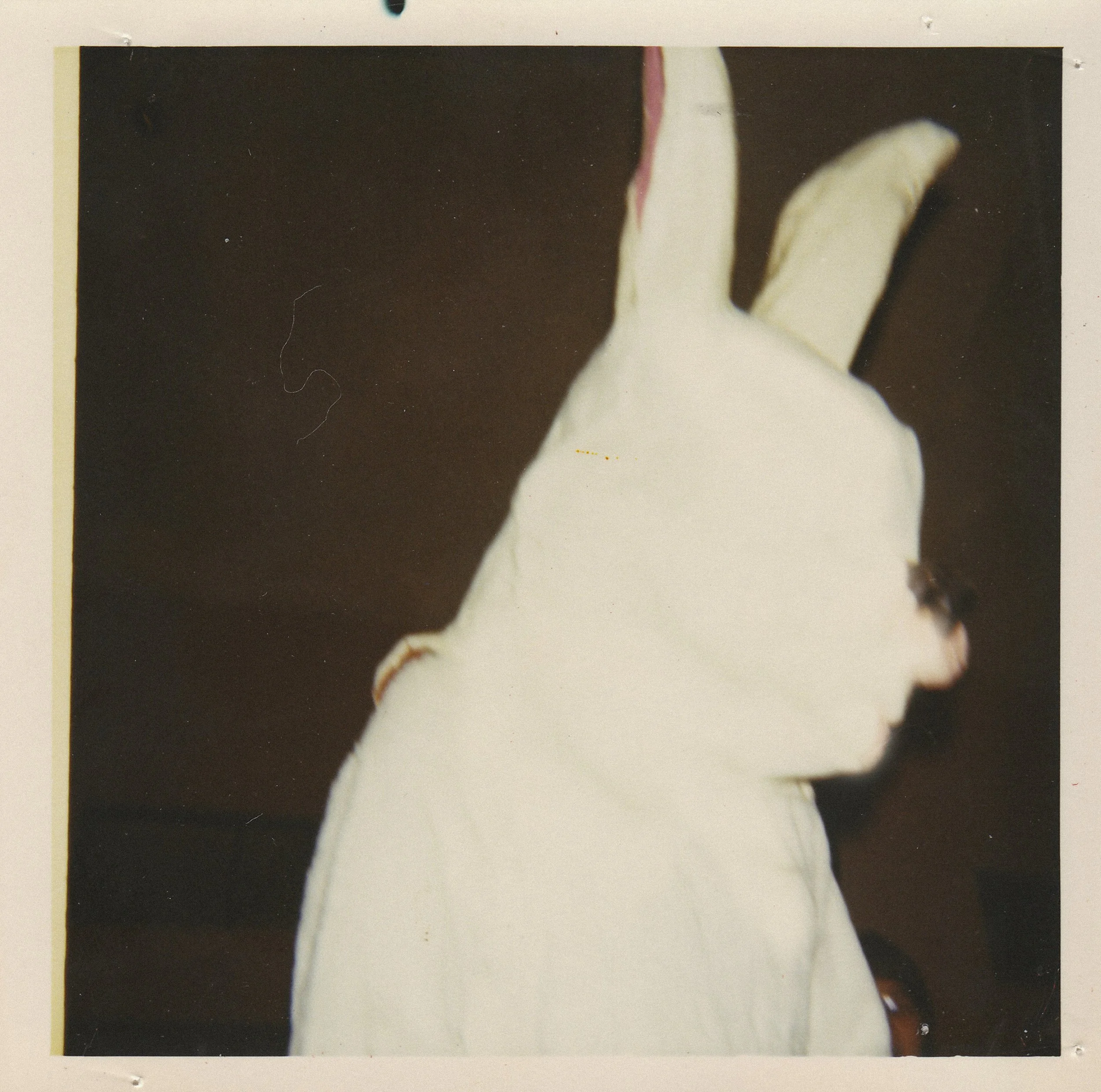 rabbit34.jpg