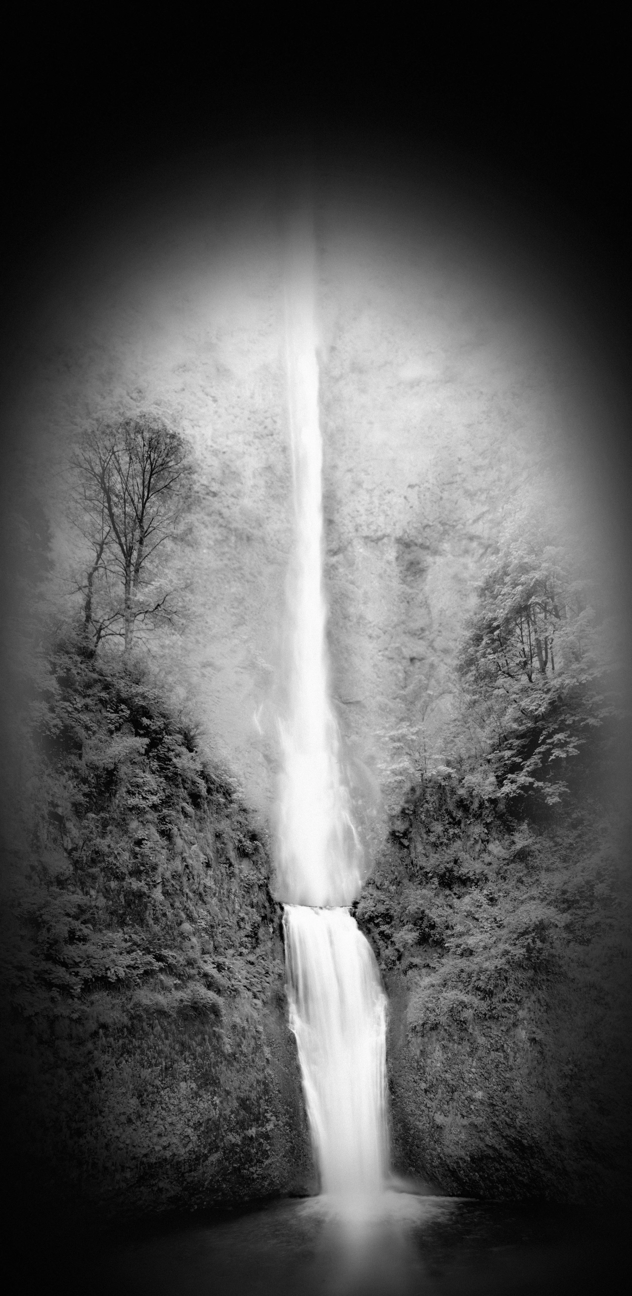 landscape20092 kopieren.jpg