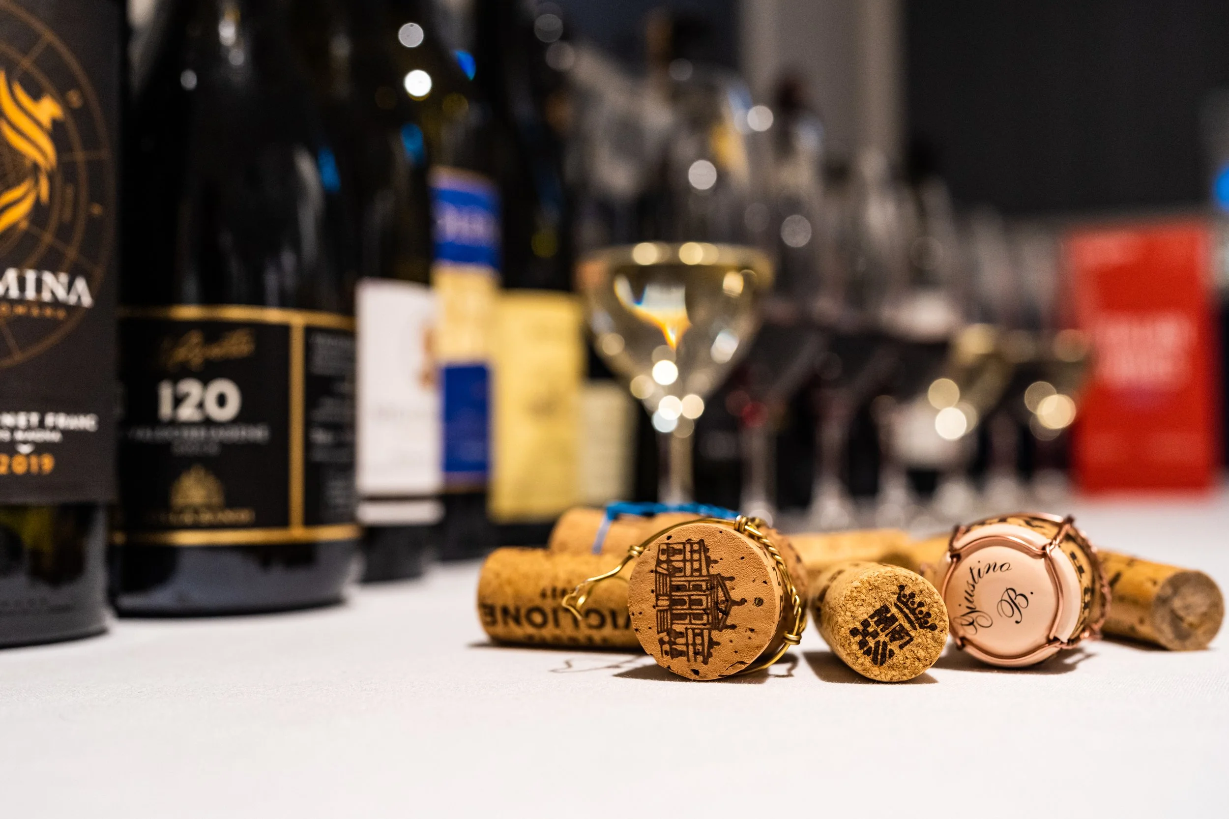 276 DSC01168Italian wine tasting.jpg