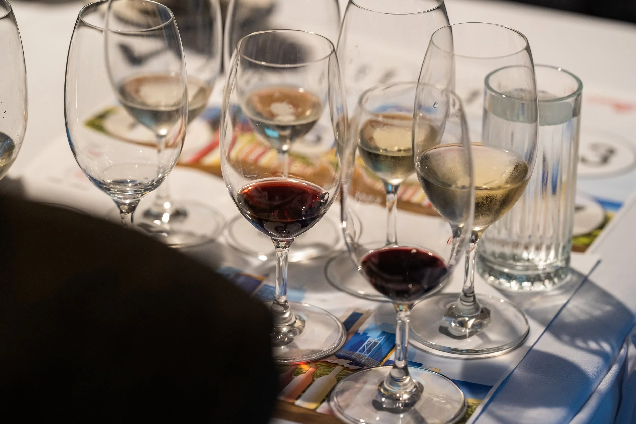 161 DSC00997Italian wine tasting.jpg