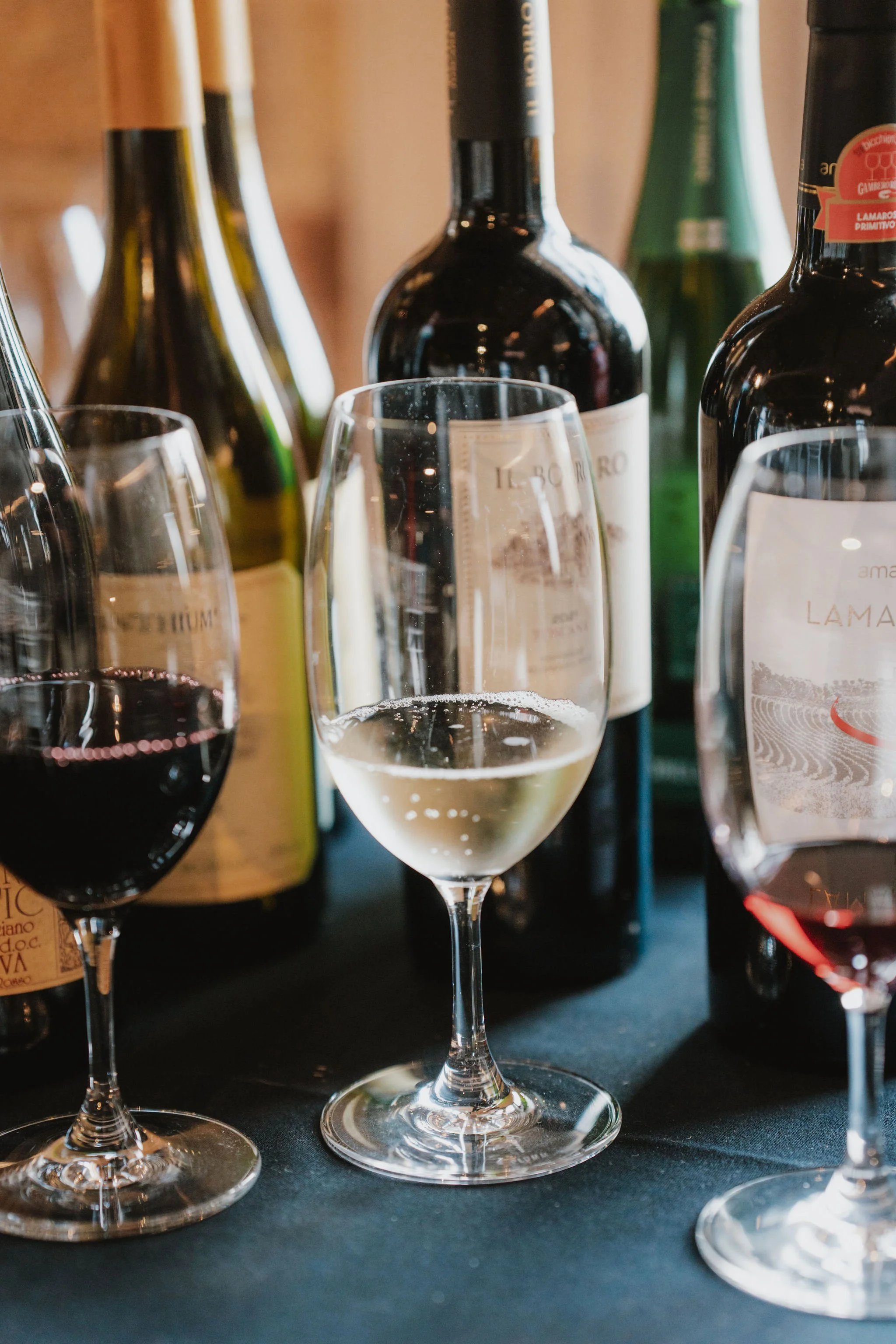 Sydney2026TopItalianWinesRoadshow-247.jpg