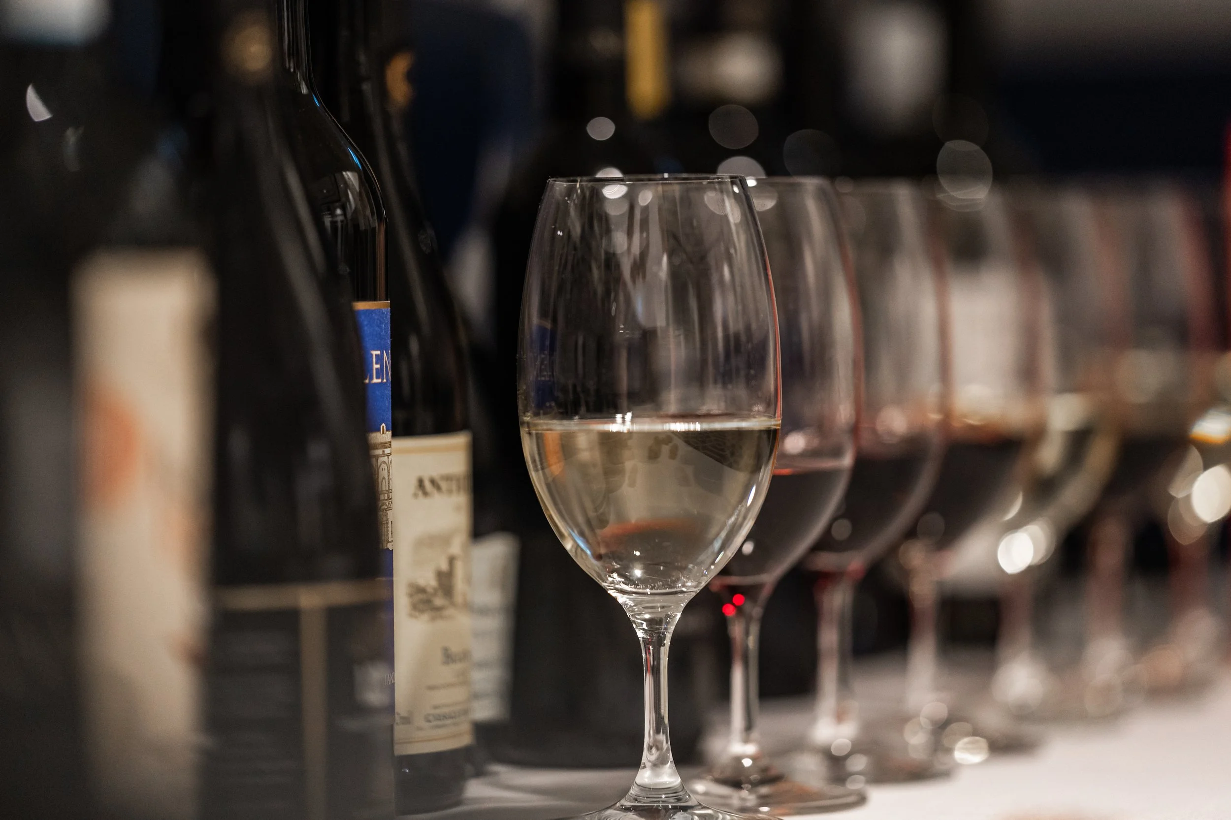 278 DSC00151Italian wine tasting.jpg