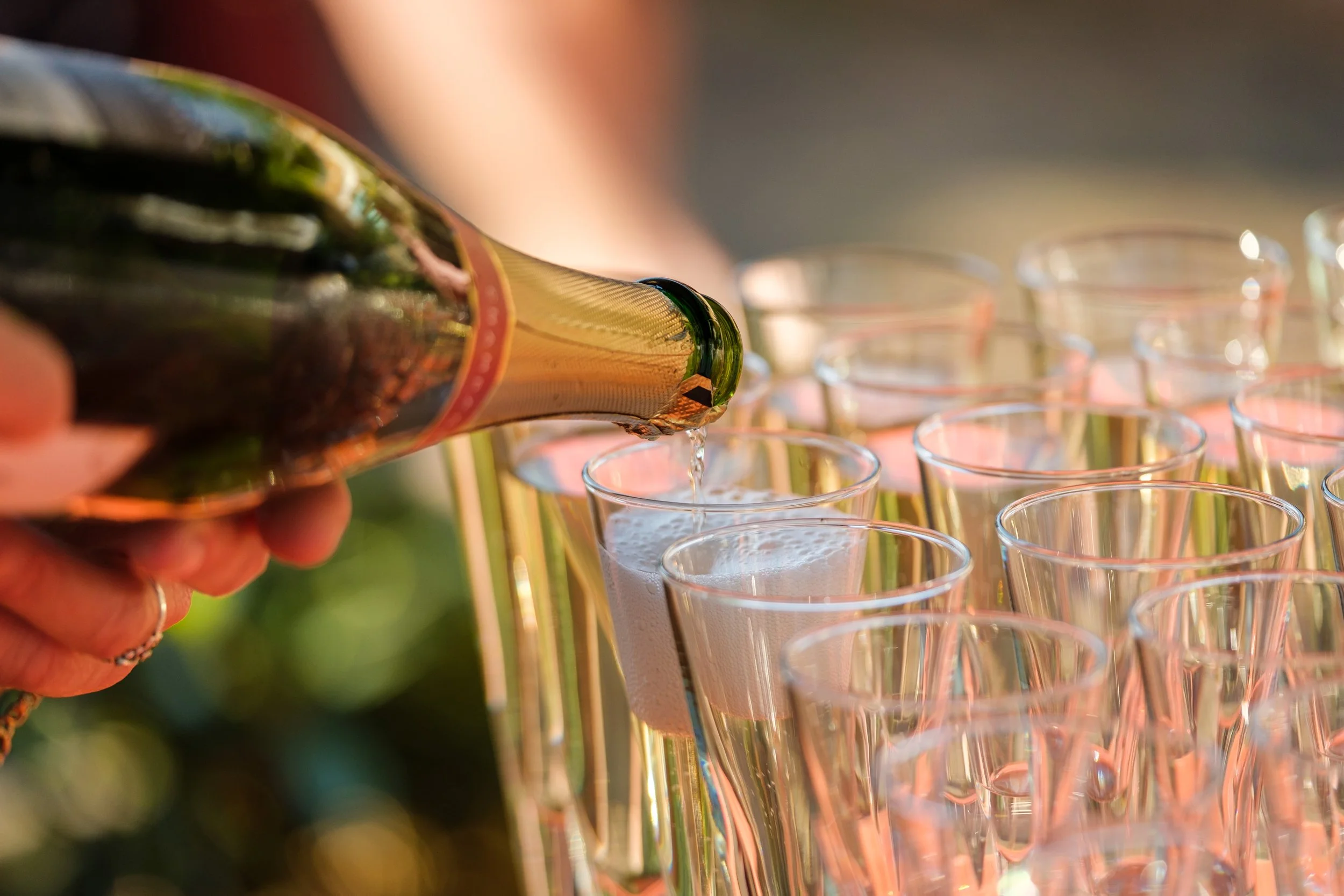 Wandsworth Friends Summer Garden Party