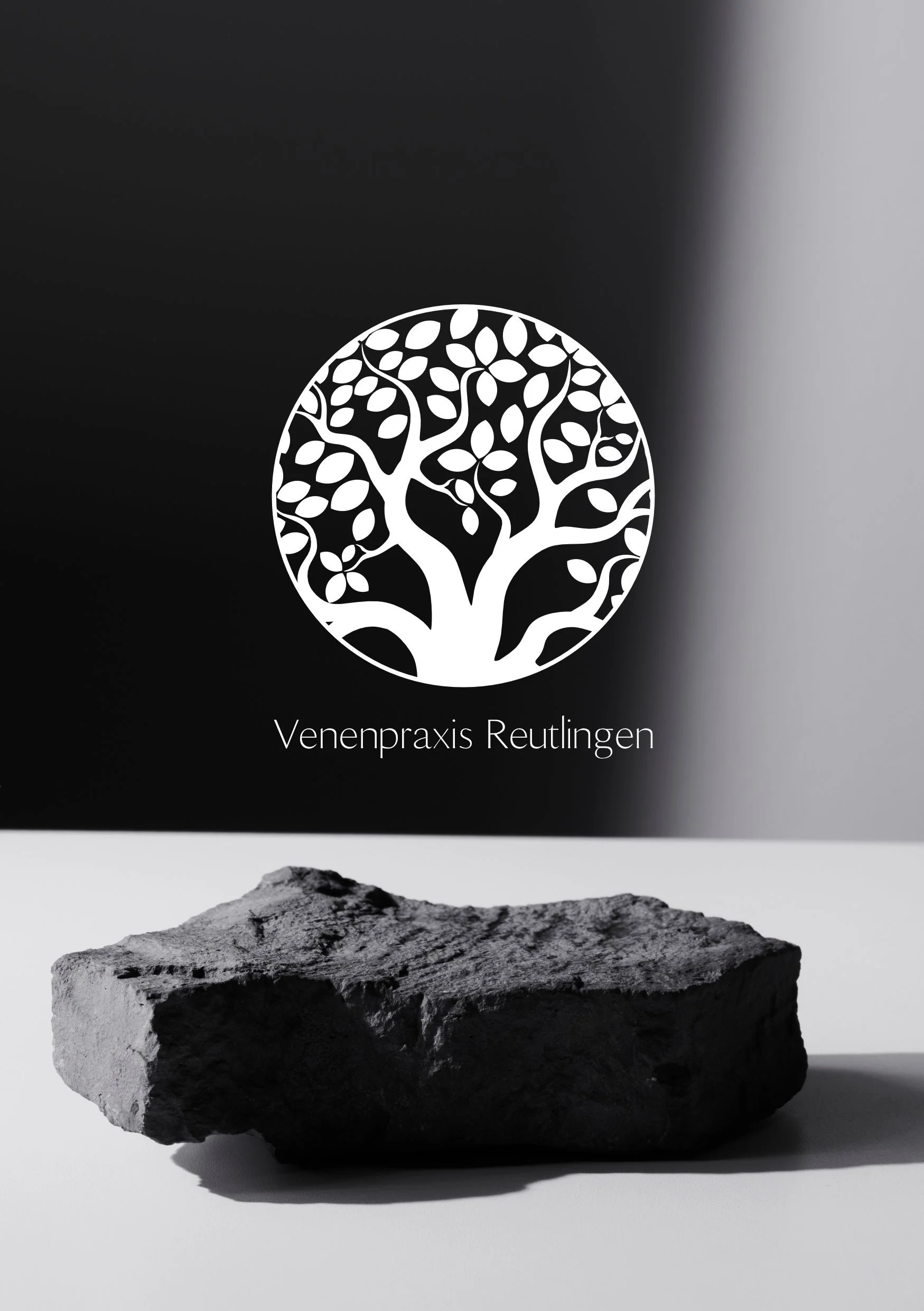 Schwarz-weiß-Foto eines schwarzen Steins auf weißem Hintergrund, im Hintergrund ein schwarzes Banner mit einem weißen Baum-Logo und dem Text 'Venenpraxis Reutlingen'.