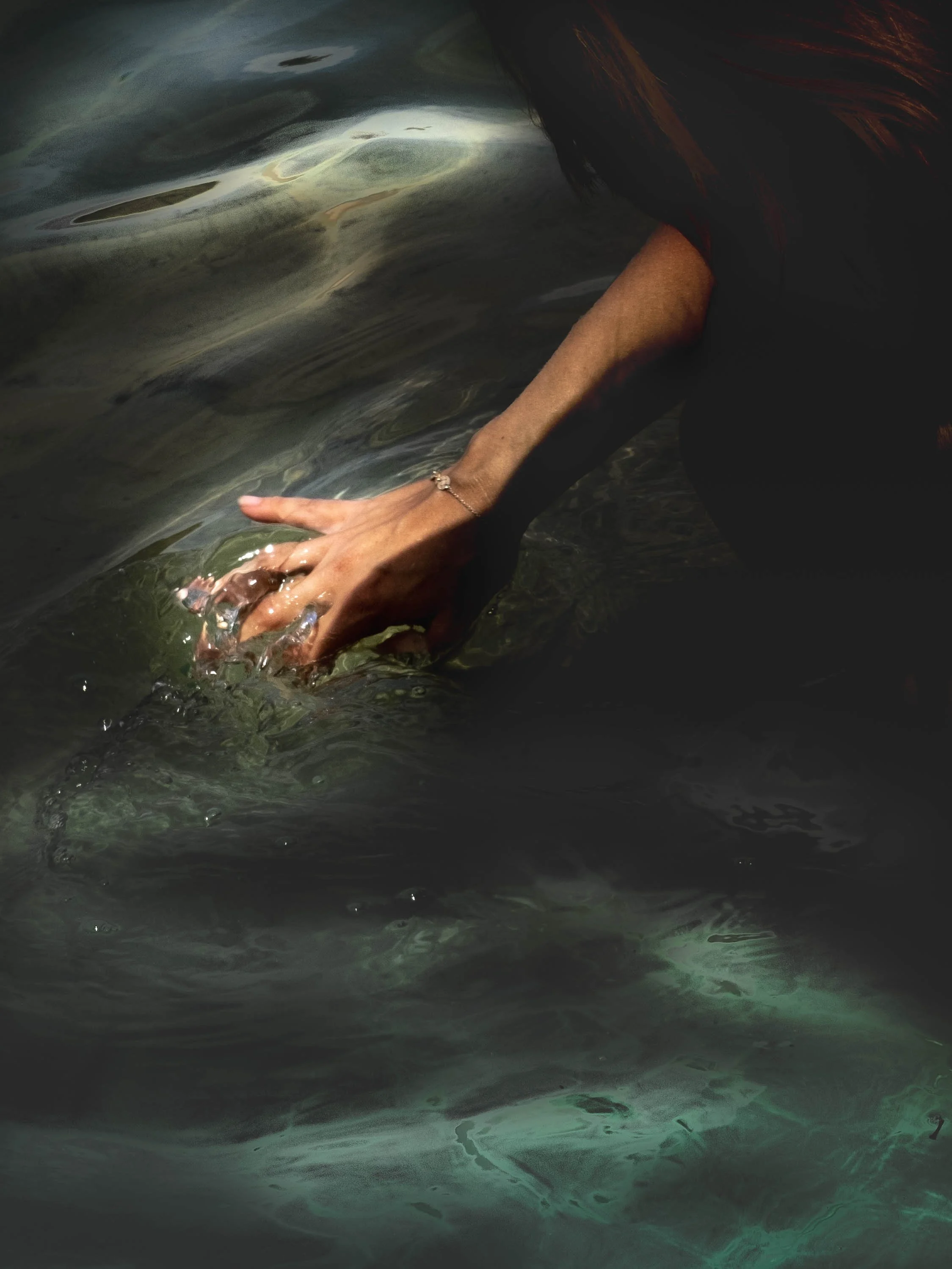 sans titre-5288-2.jpg