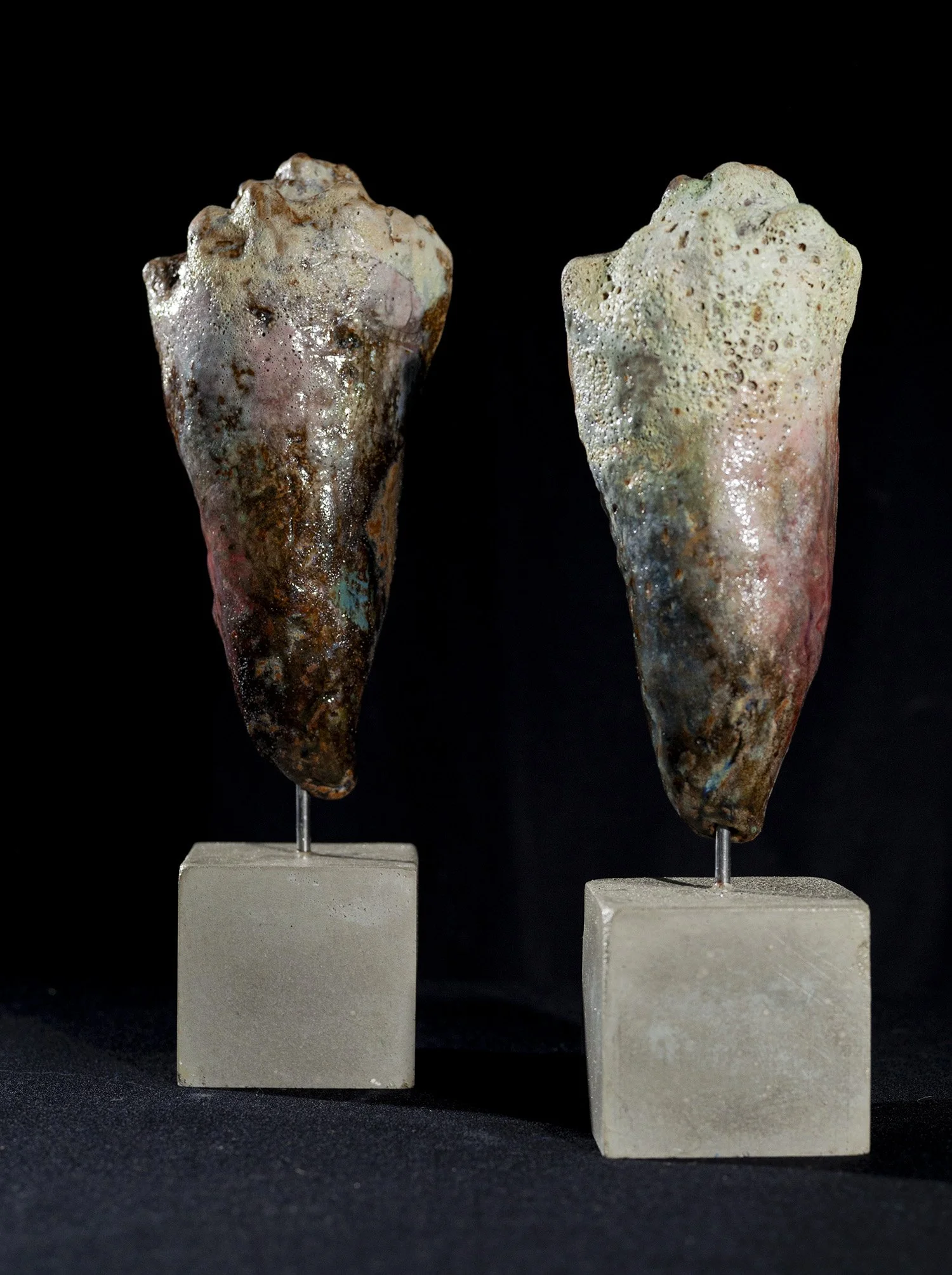 coquillage-empreintes-sur socle-w.jpg