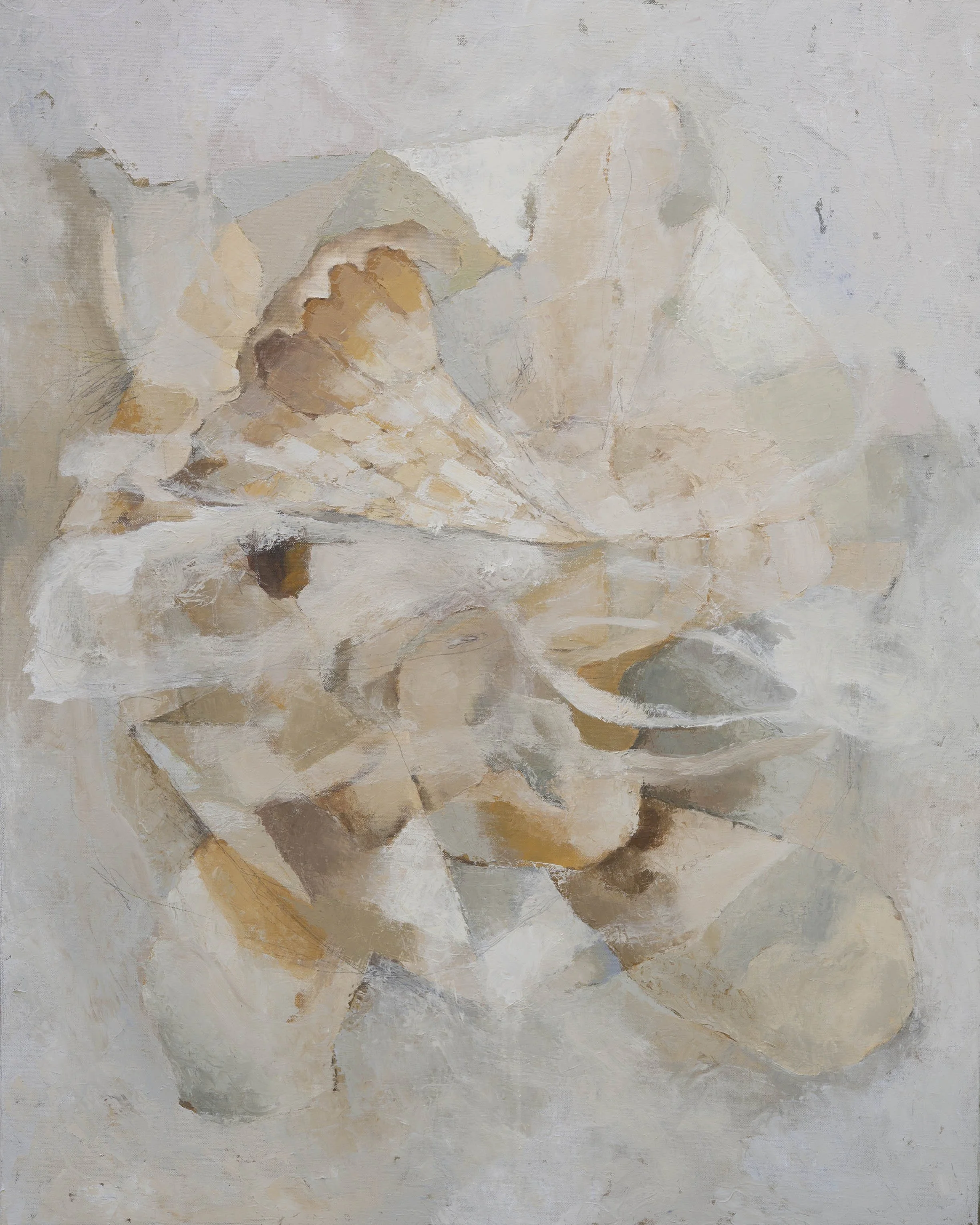 blanc fini-p.jpg