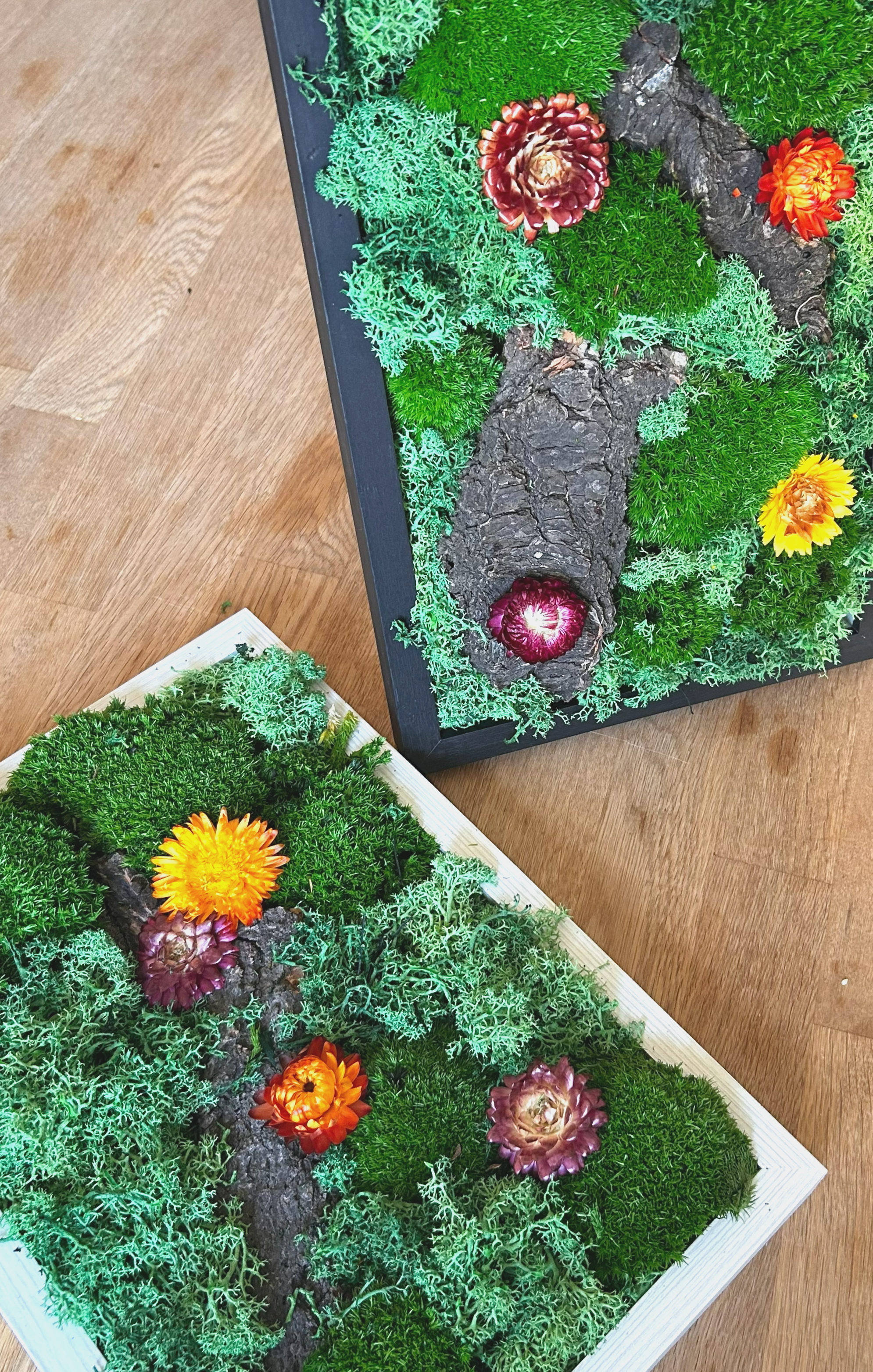 Zwei Bilderrahmen mit kunstvollen Moos- und Flechtenarrangement mit bunten Blumen auf Holztisch.