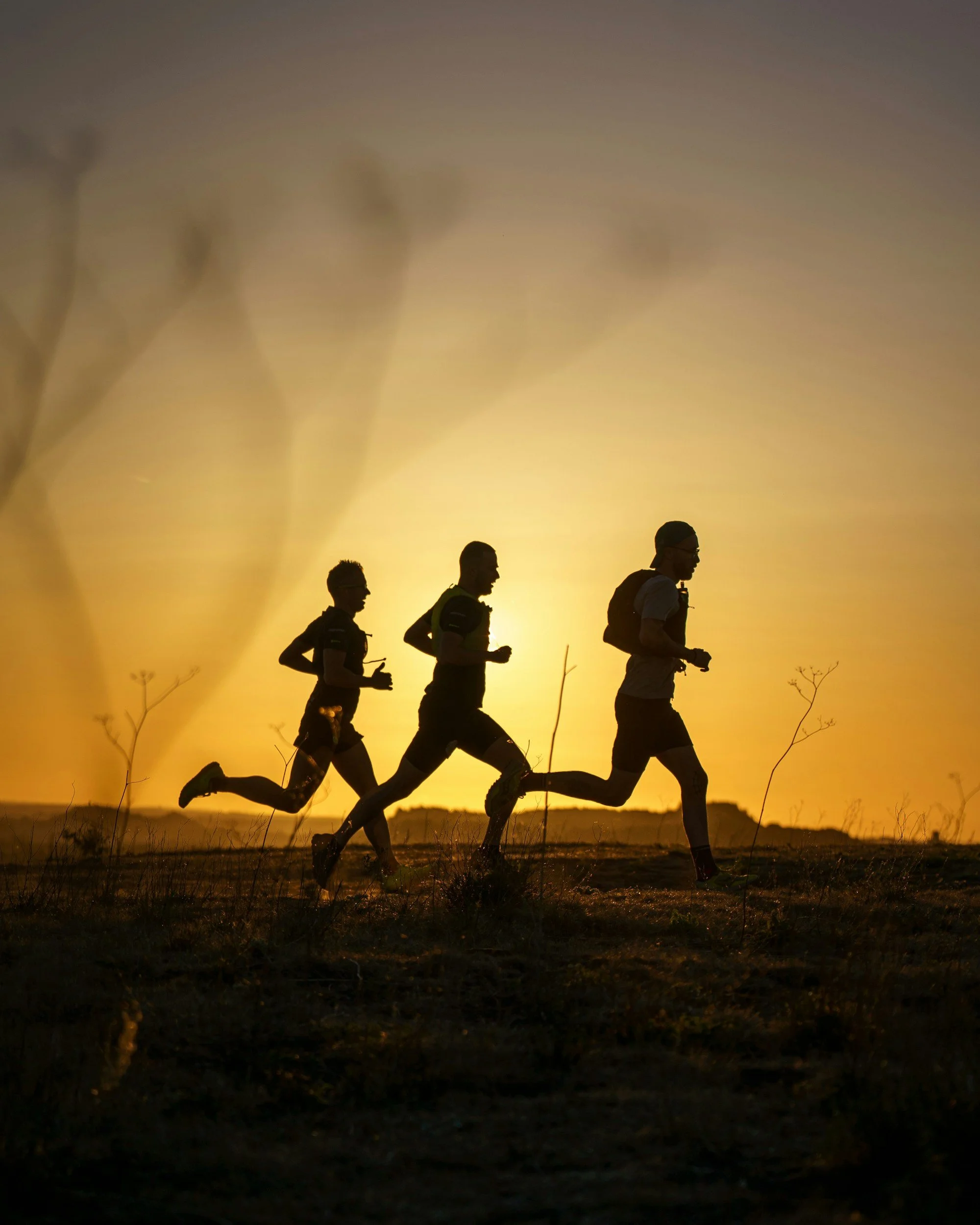 Silhouetten van drie lopers tijdens zonsopgang of zonsondergang, rennend over een open veld met droge planten.