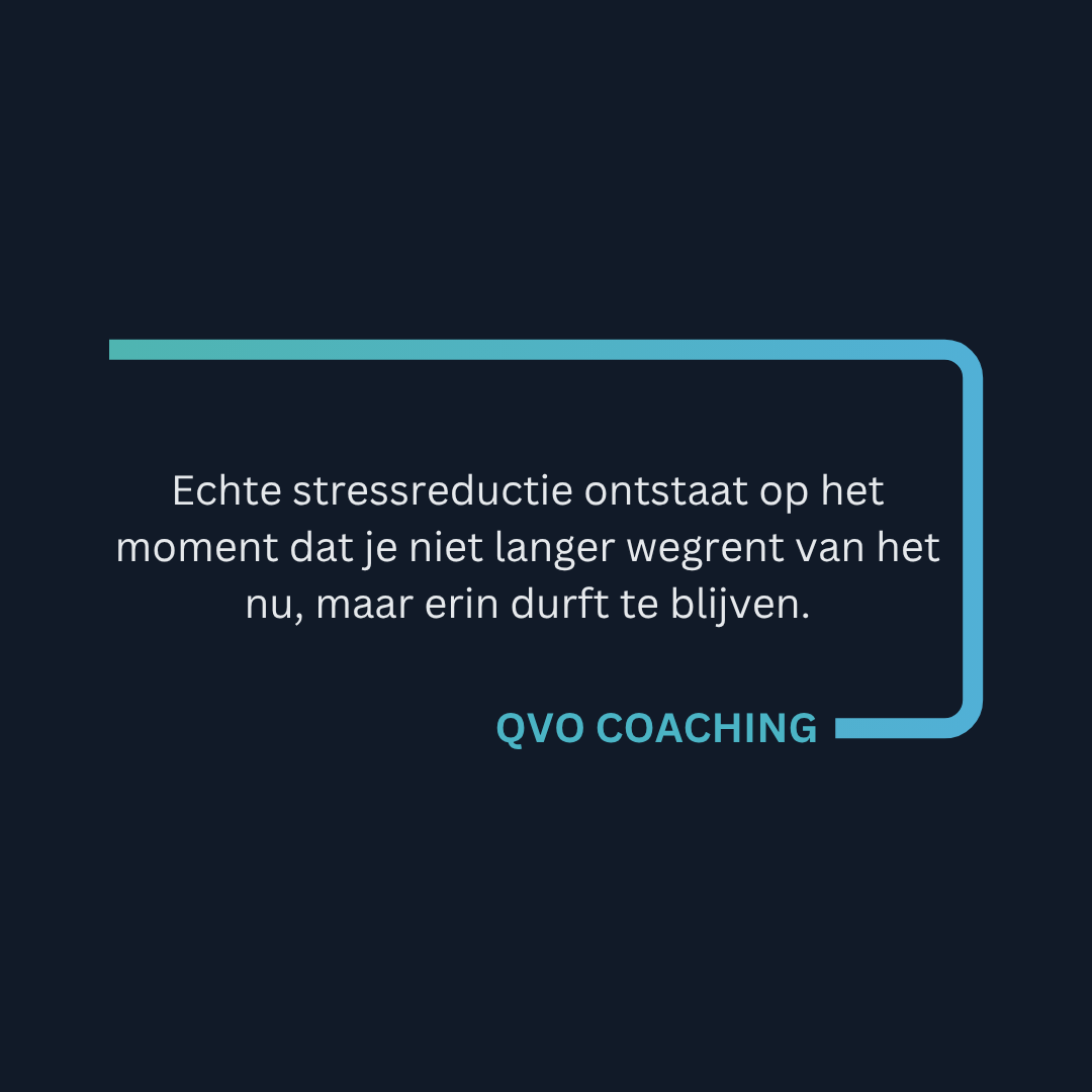 Stressreductie en Innerlijke Rust: De Kunst van Stoppen met Altijd Doorgaan