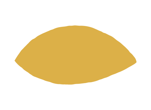 Brightmane Therapeutic Center decorative illustration