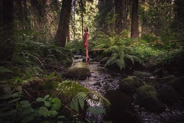 Meditation Isn’t About Clearing Your Mind